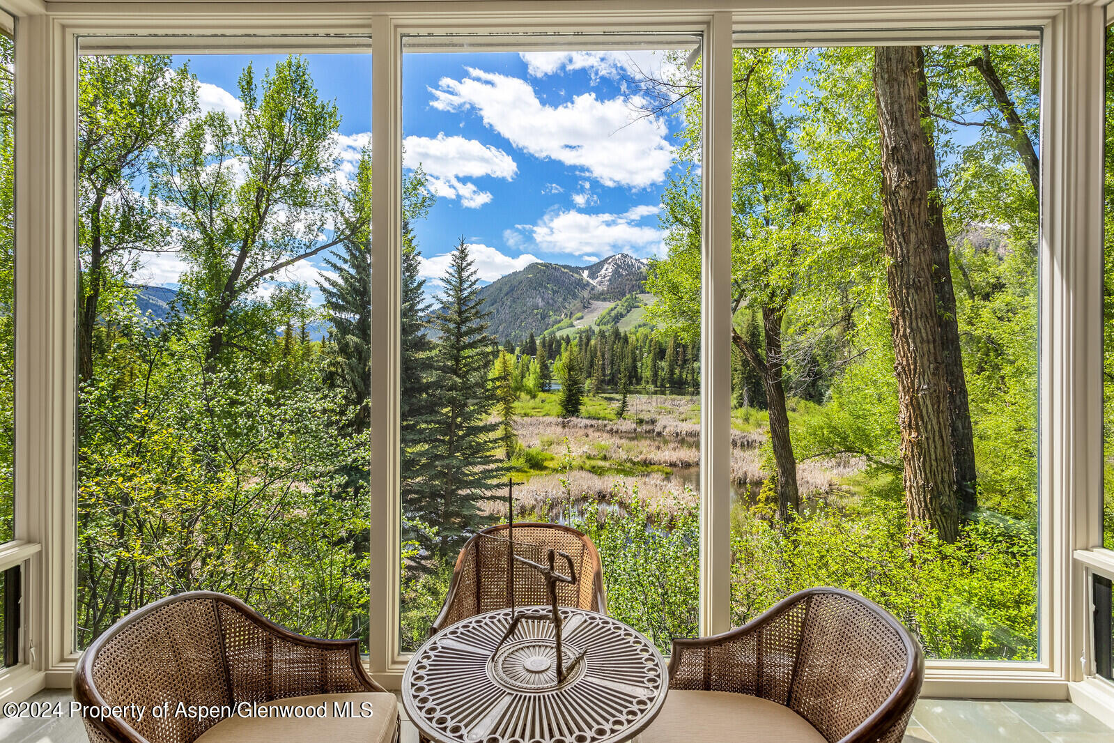 844 Roaring Fork Road Aspen CO 81611