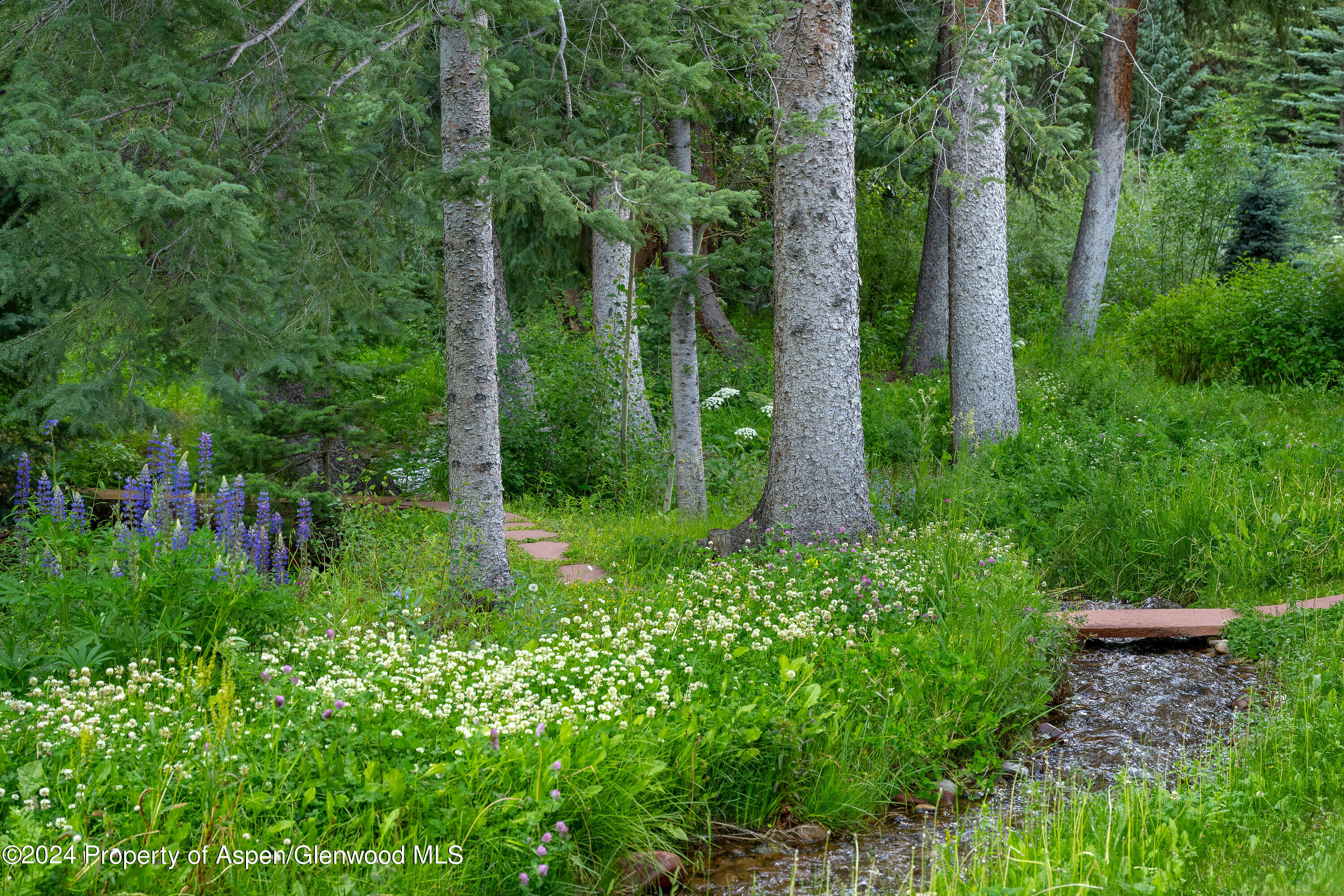 761 Conundrum Road Aspen CO 81611