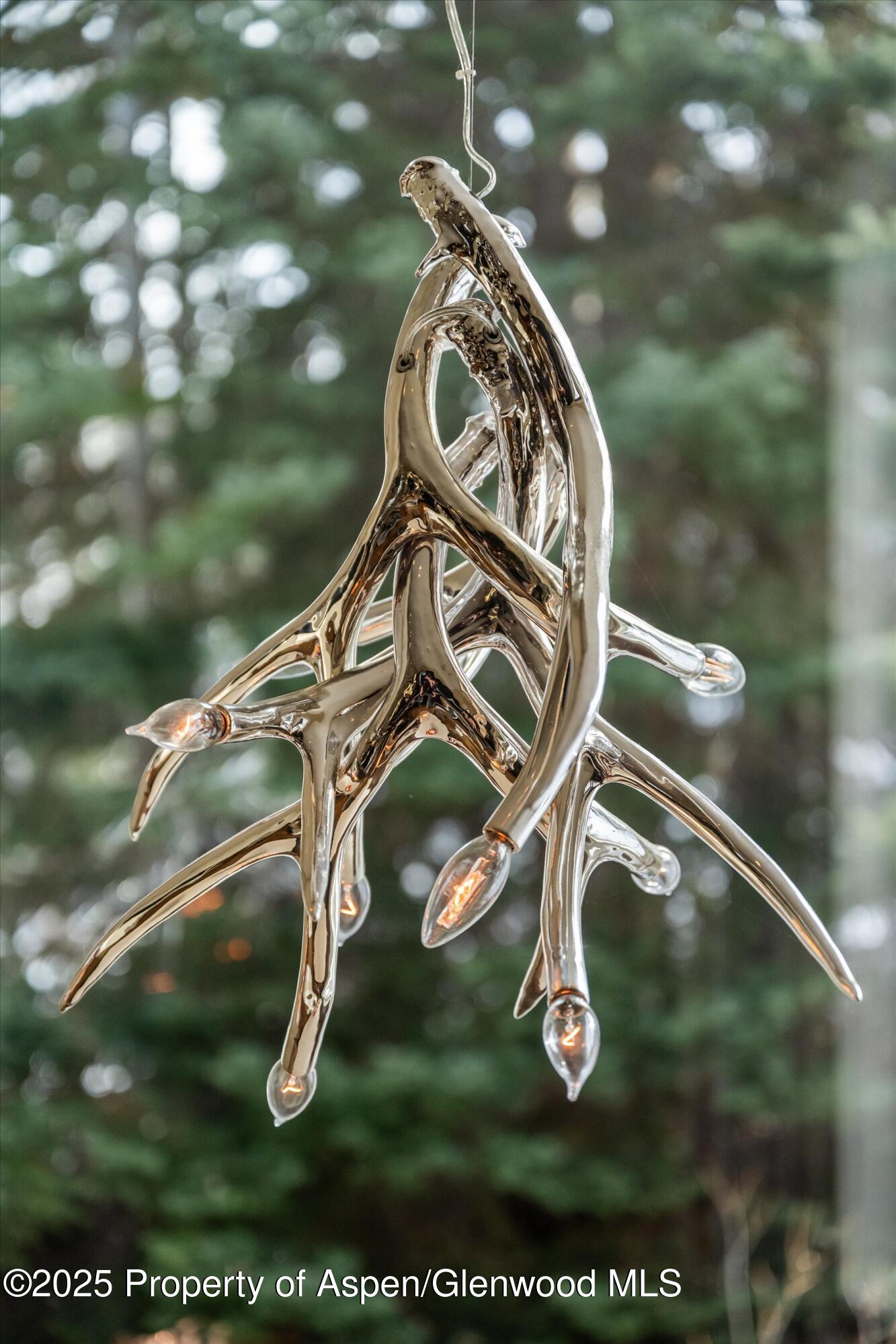 1248 Wood Road Snowmass Village CO 81615