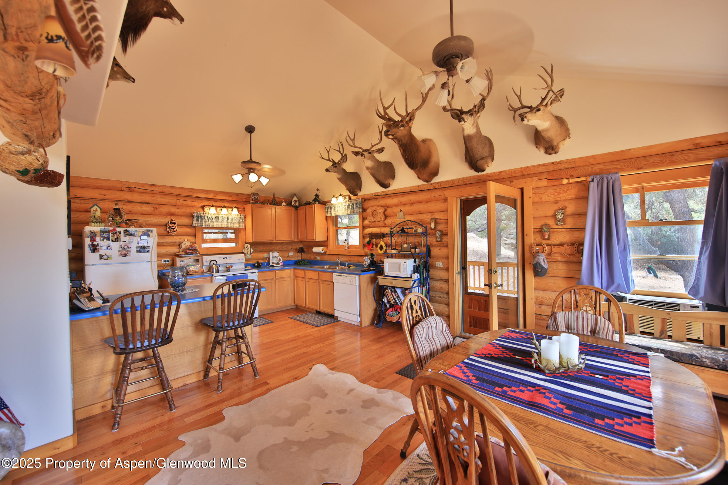 18842 Kimball Creek Road Collbran CO 81624