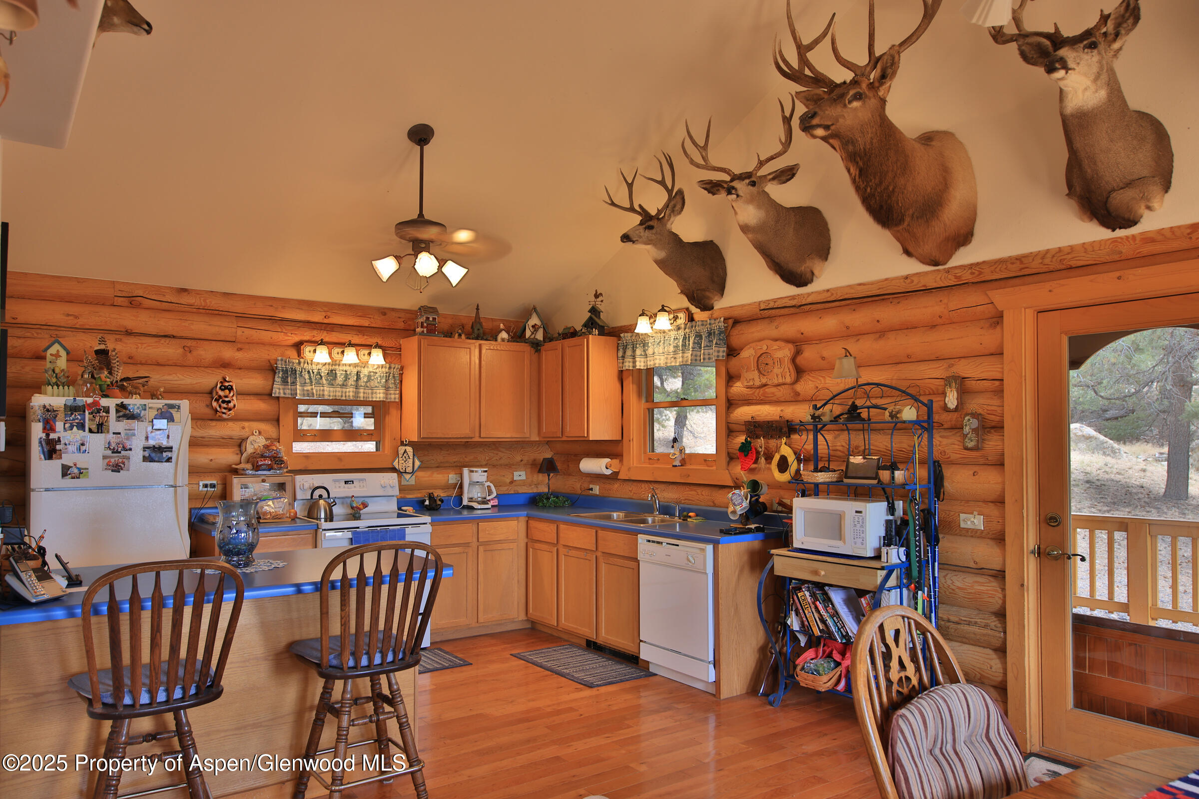 18842 Kimball Creek Road Collbran CO 81624