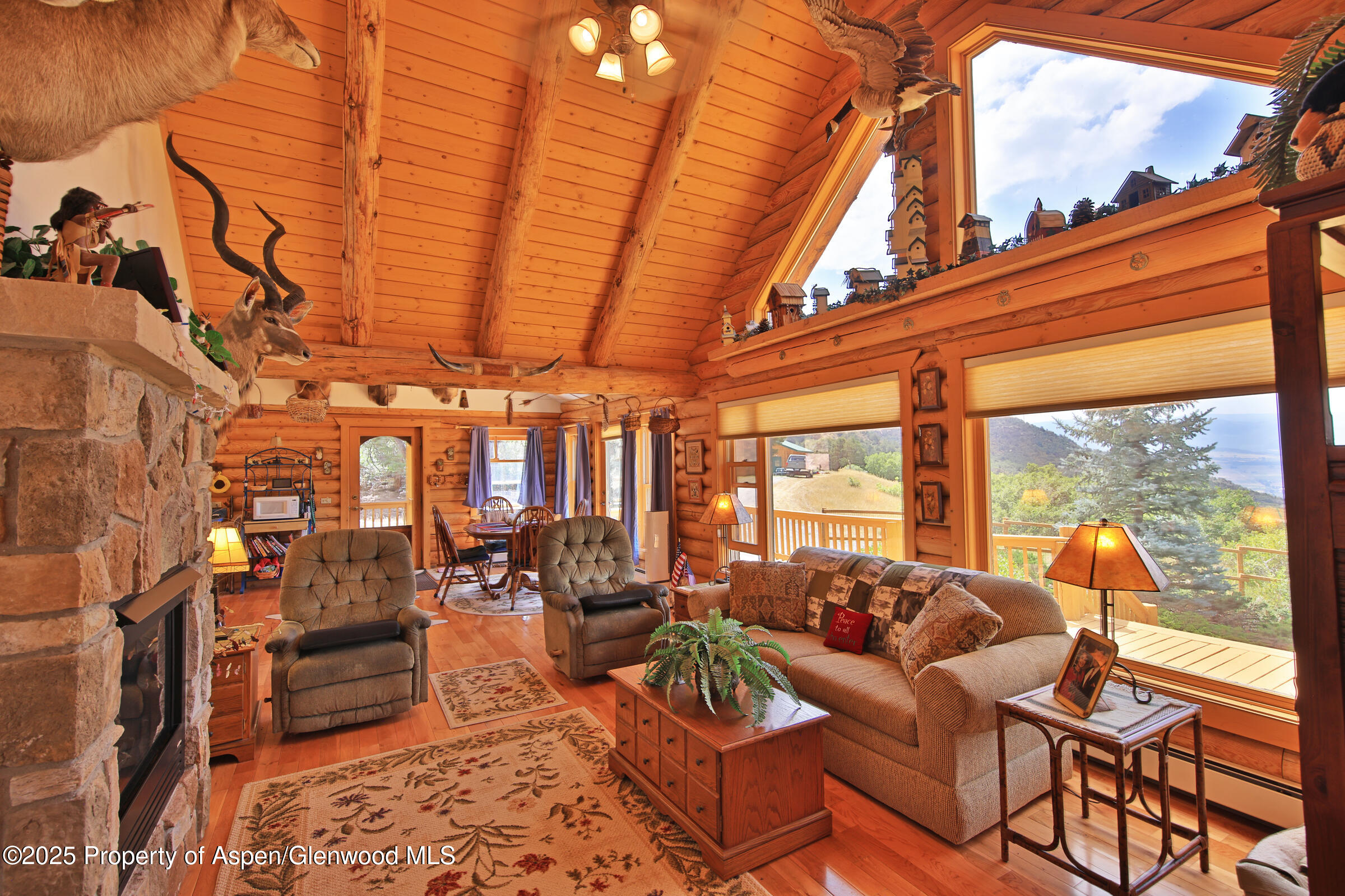 18842 Kimball Creek Road Collbran CO 81624