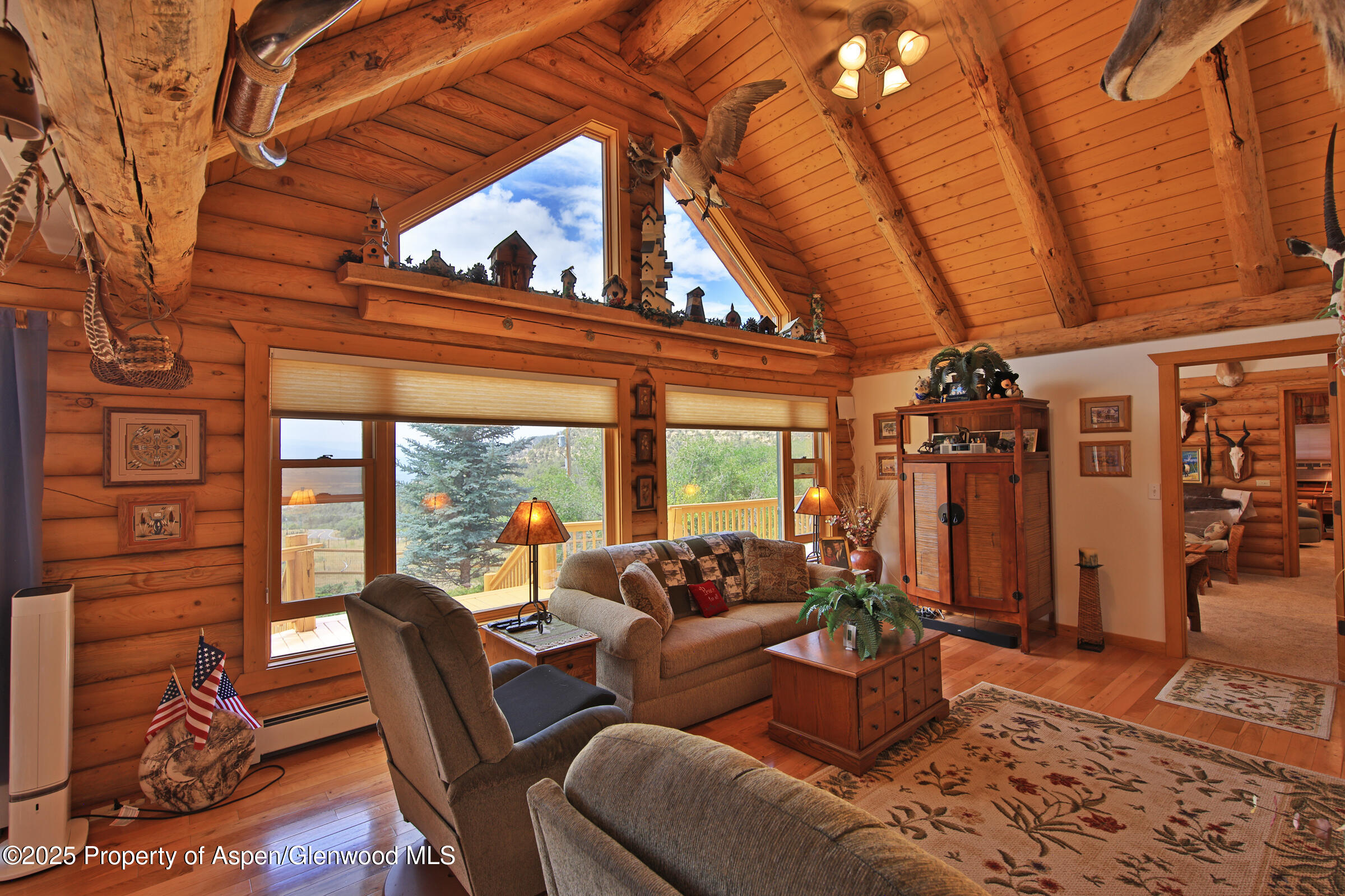 18842 Kimball Creek Road Collbran CO 81624