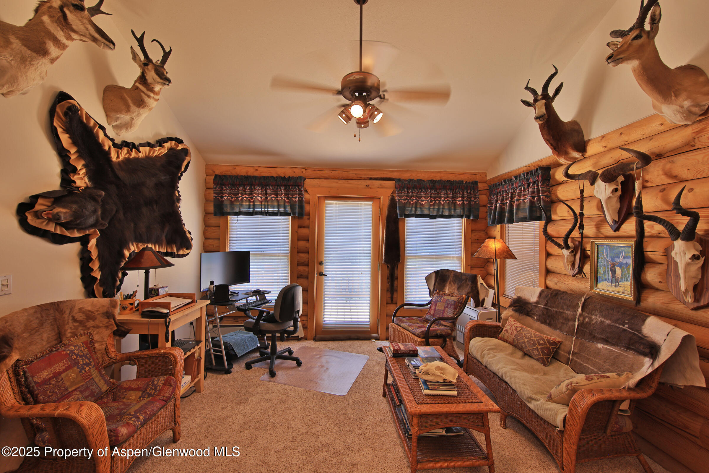 18842 Kimball Creek Road Collbran CO 81624