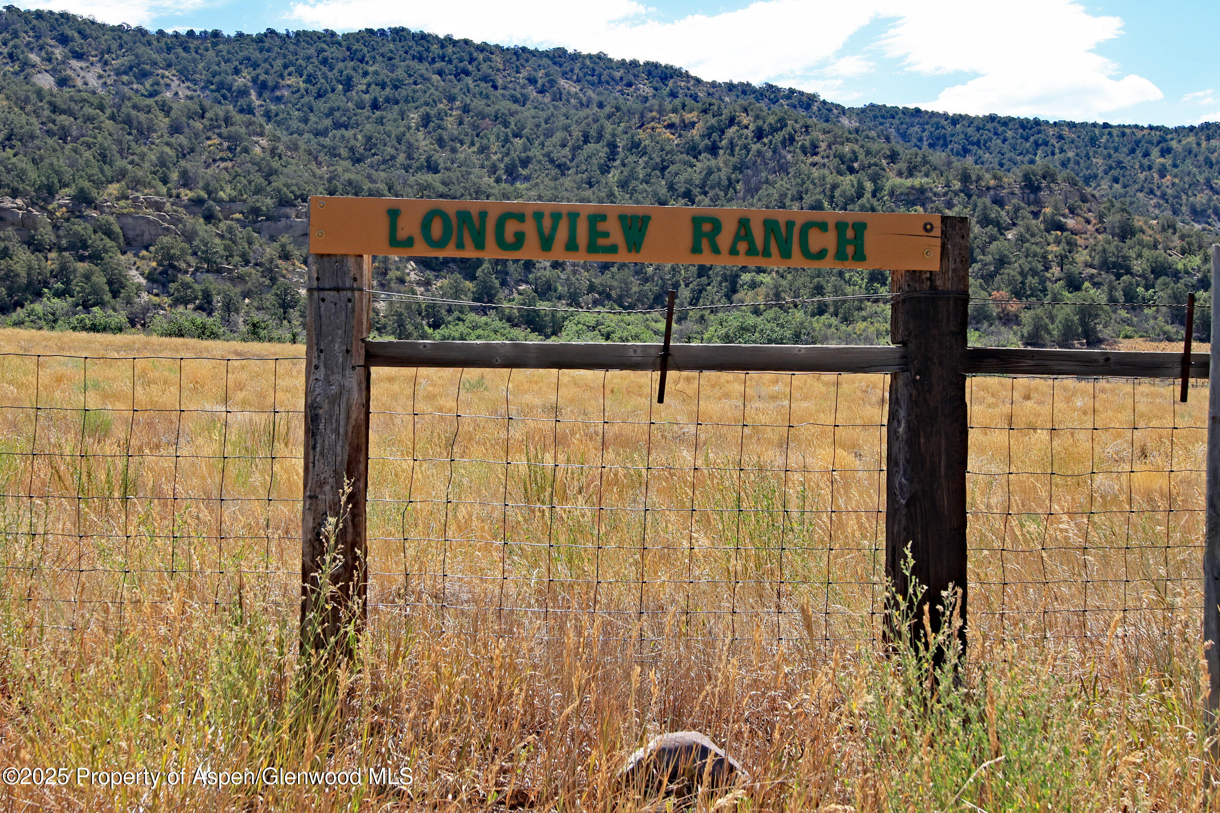 18842 Kimball Creek Road Collbran CO 81624