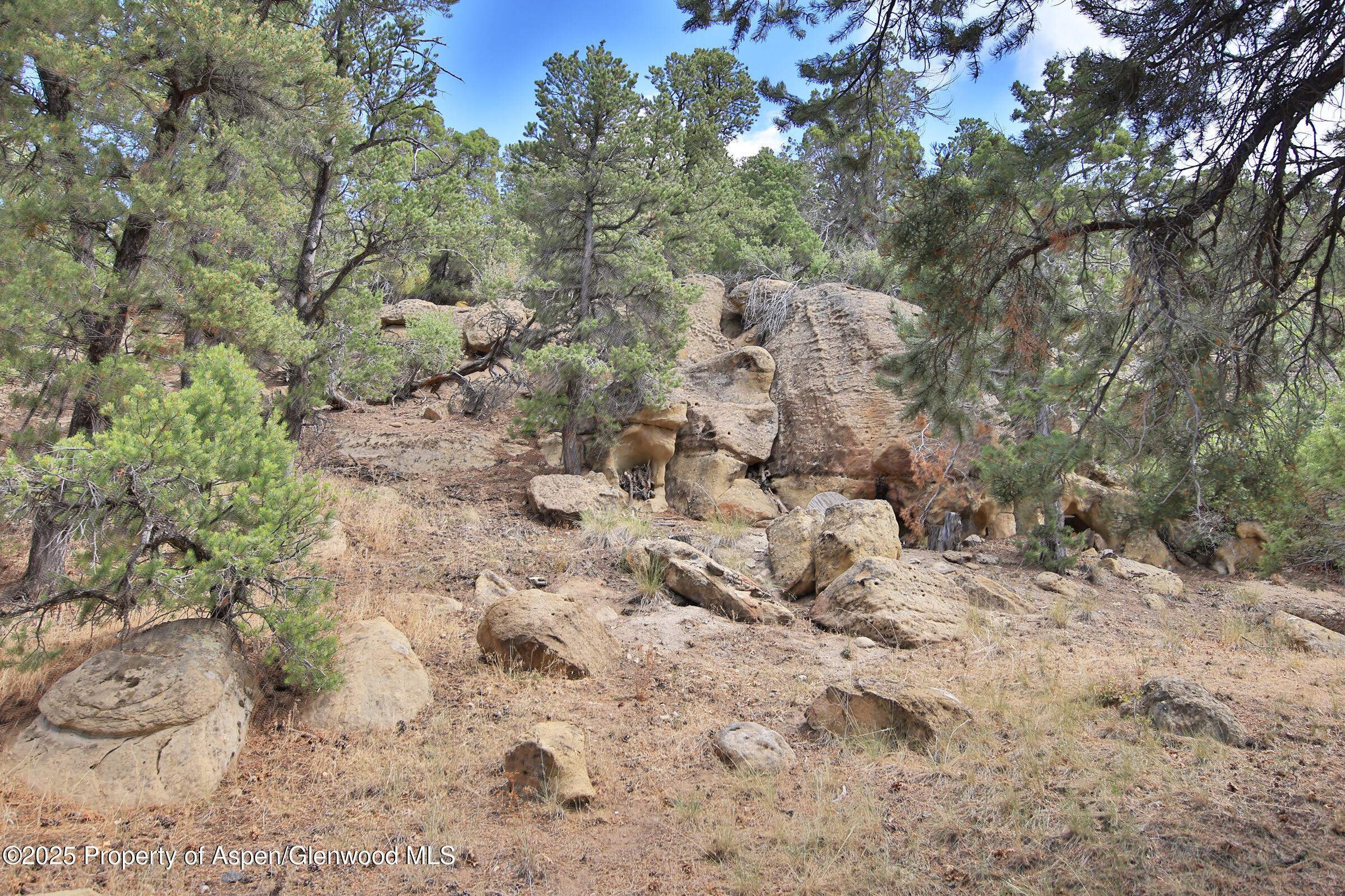 18842 Kimball Creek Road Collbran CO 81624