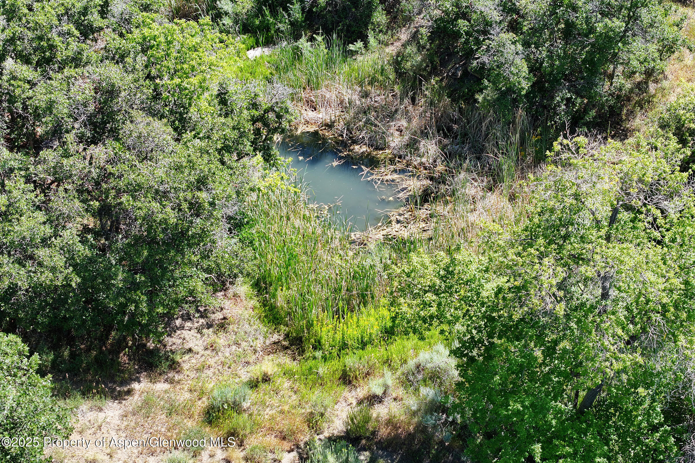 18842 Kimball Creek Road Collbran CO 81624