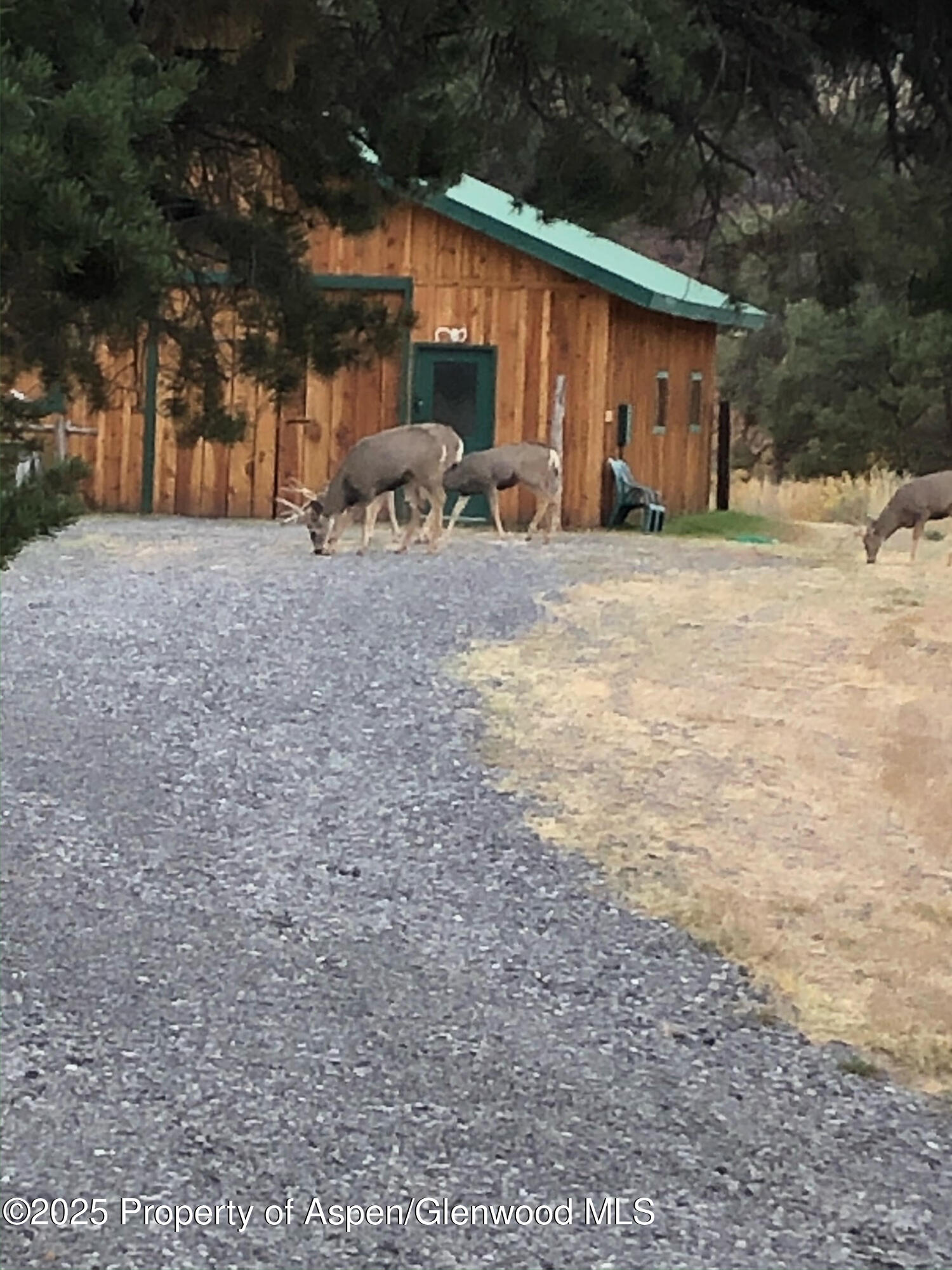 18842 Kimball Creek Road Collbran CO 81624