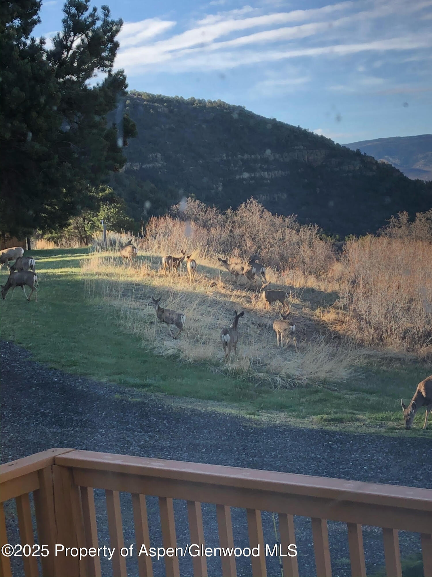 18842 Kimball Creek Road Collbran CO 81624