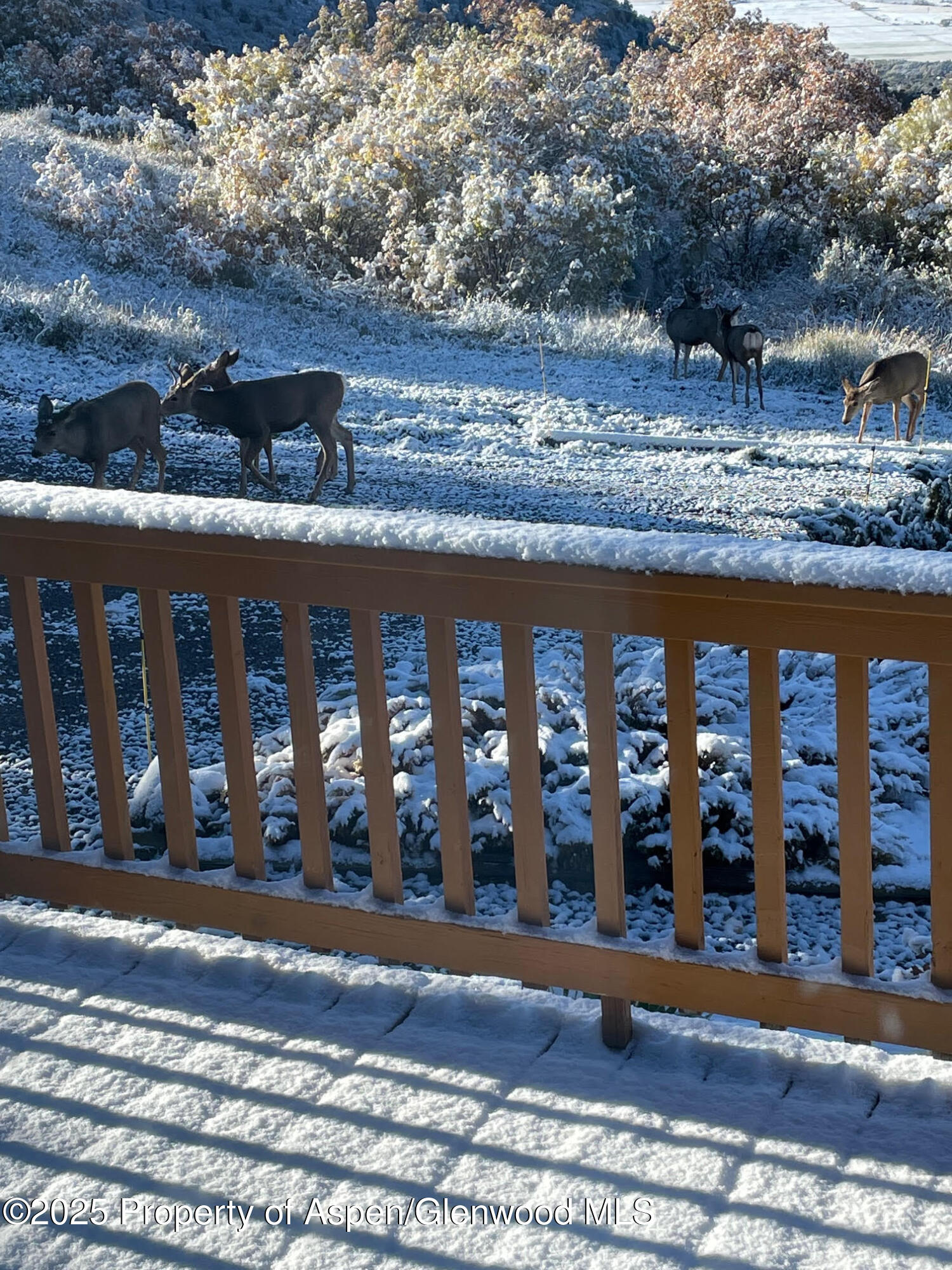 18842 Kimball Creek Road Collbran CO 81624