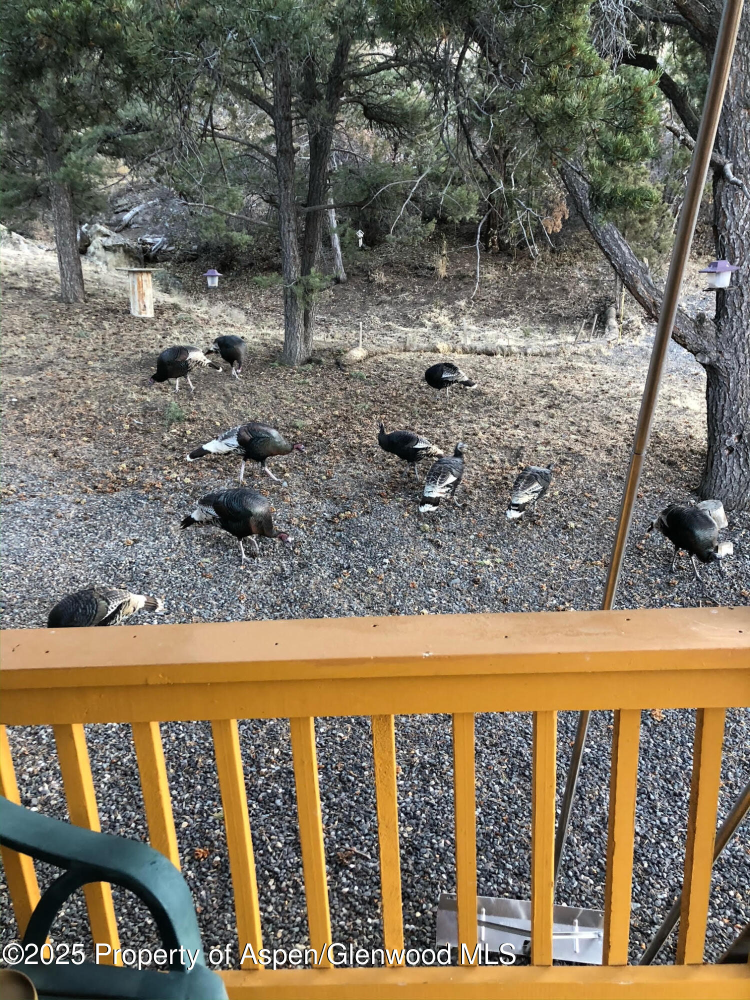 18842 Kimball Creek Road Collbran CO 81624