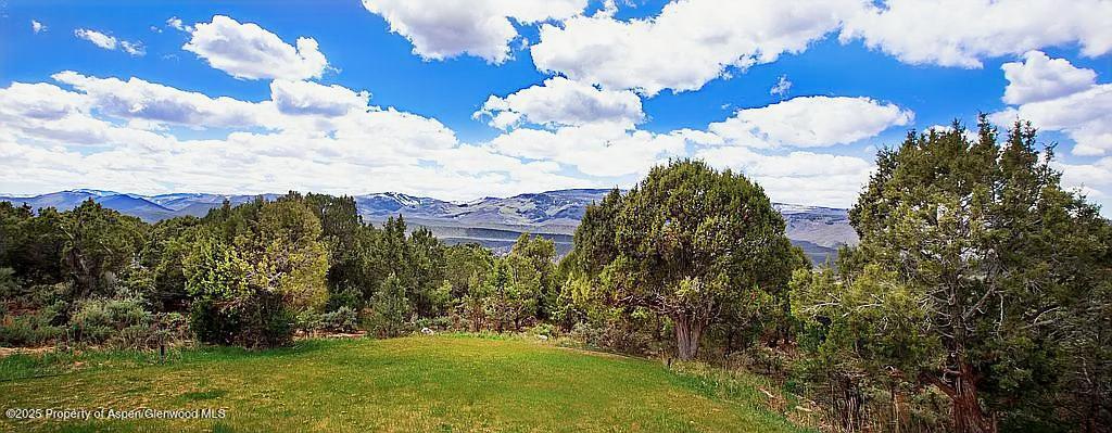 401 Wood Nymph Lane Glenwood Springs CO 81601