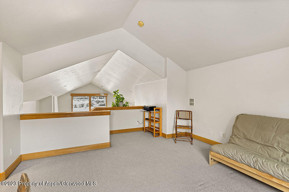 472 Settlement Lane Carbondale CO 81623
