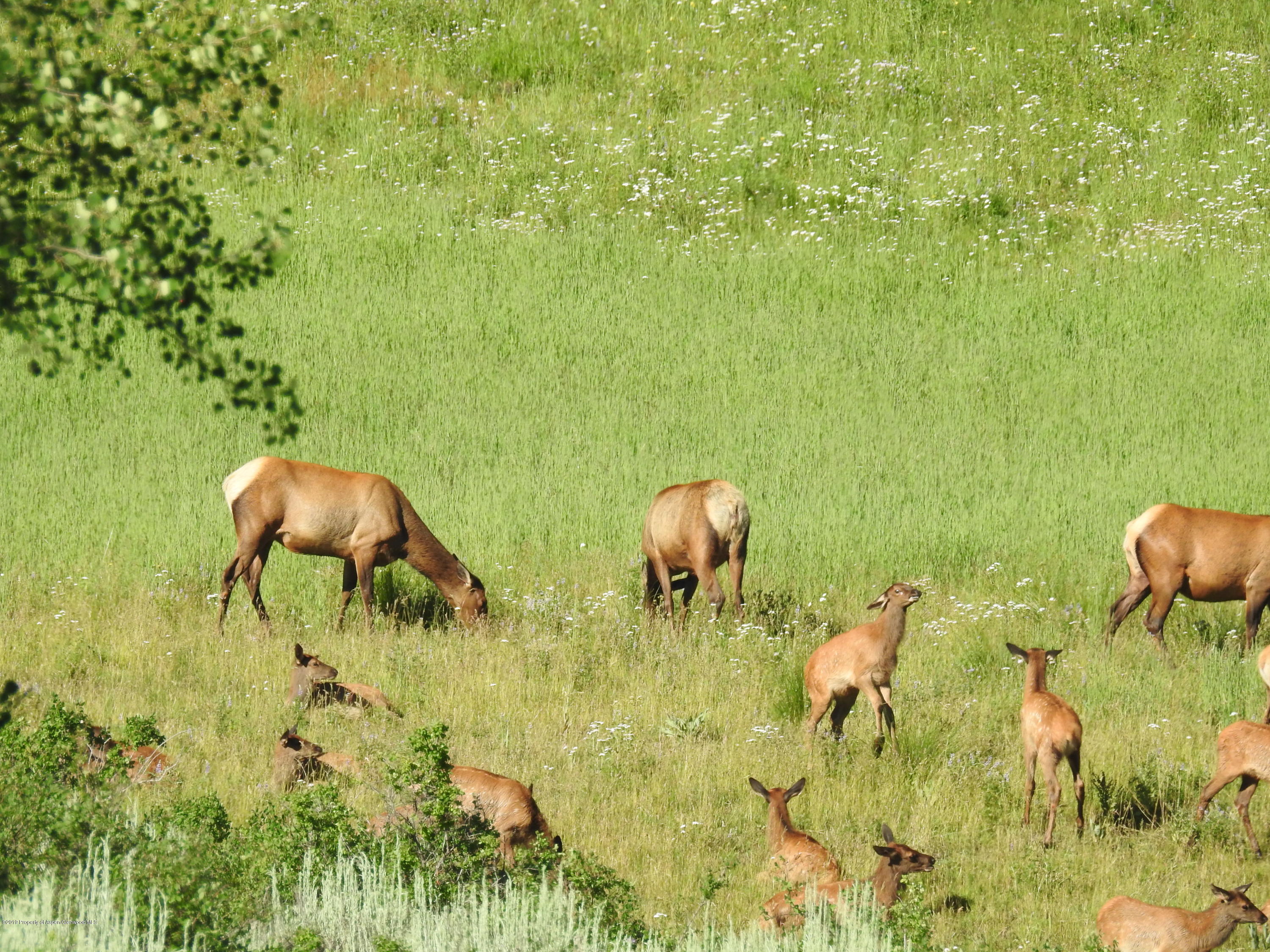 1000 Black Bear Road Glenwood Springs CO 81601