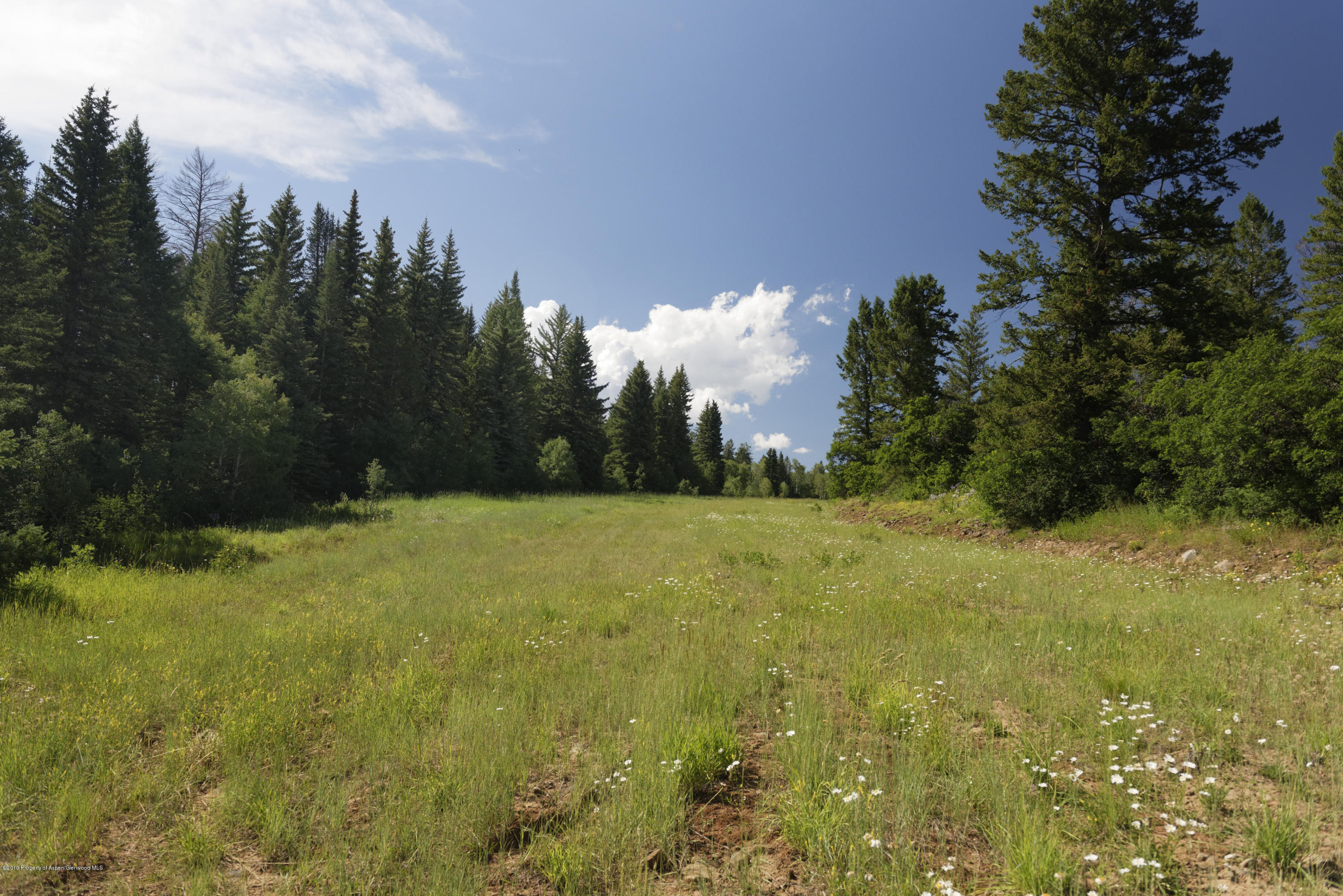 1000 Black Bear Road Glenwood Springs CO 81601