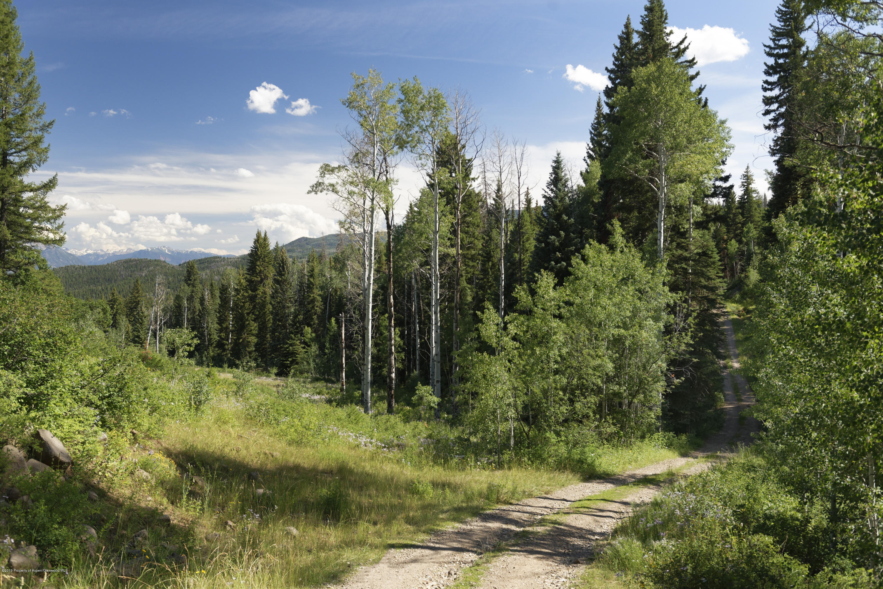 1000 Black Bear Road Glenwood Springs CO 81601