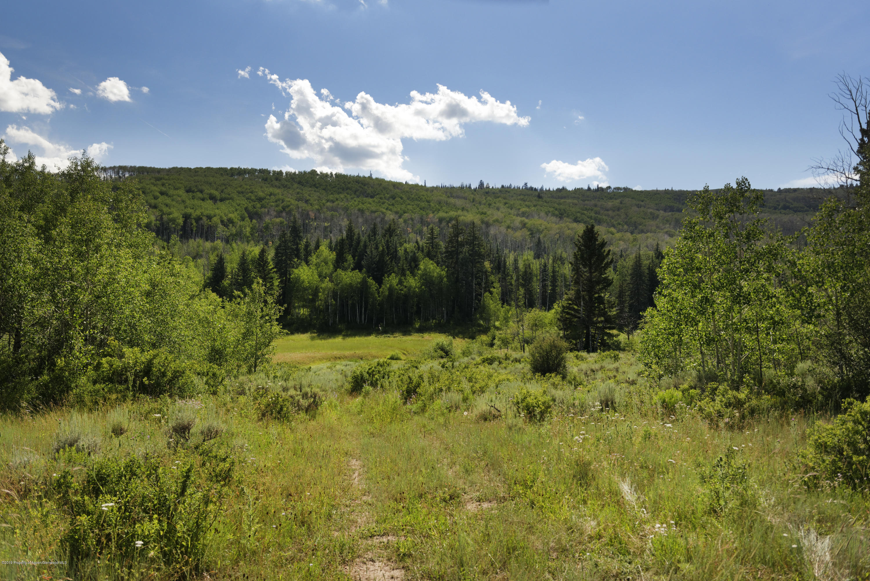 1000 Black Bear Road Glenwood Springs CO 81601