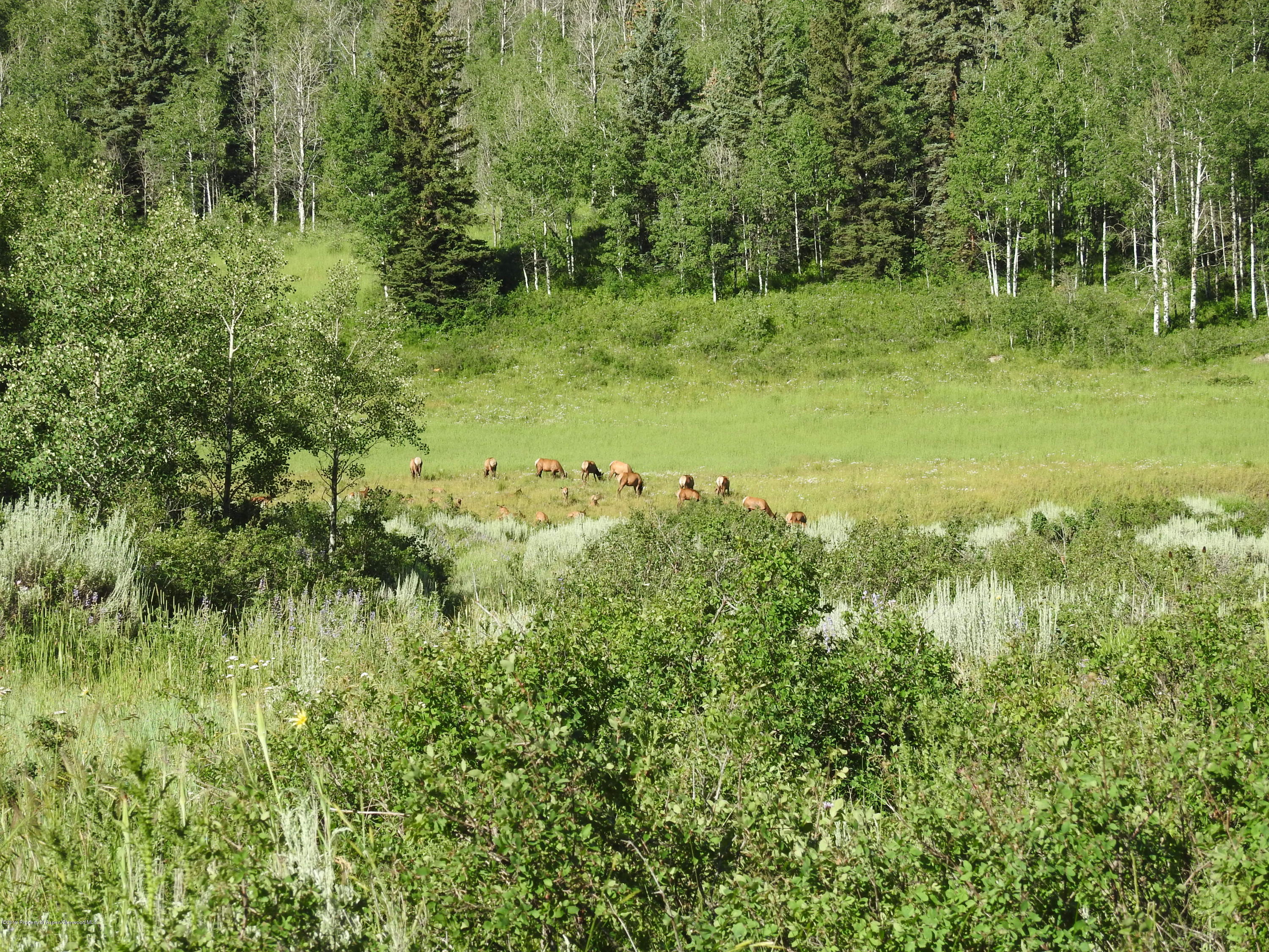 1000 Black Bear Road Glenwood Springs CO 81601