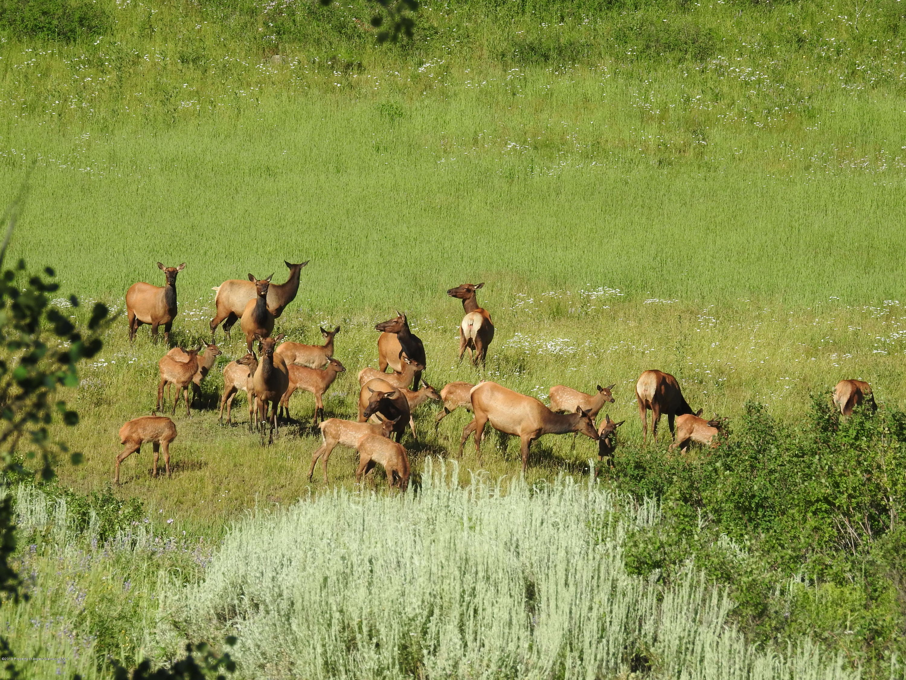 1000 Black Bear Road Glenwood Springs CO 81601