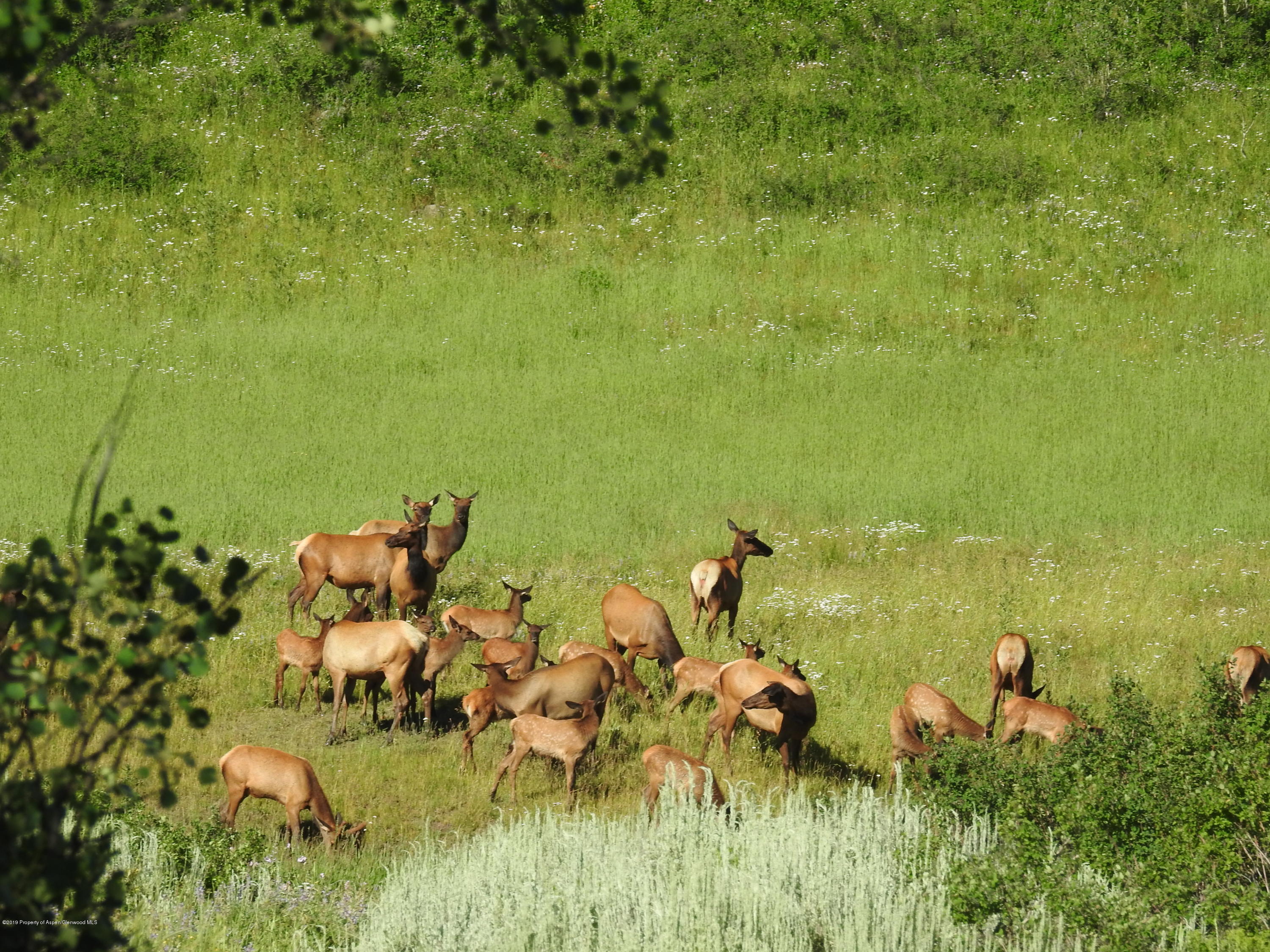 1000 Black Bear Road Glenwood Springs CO 81601