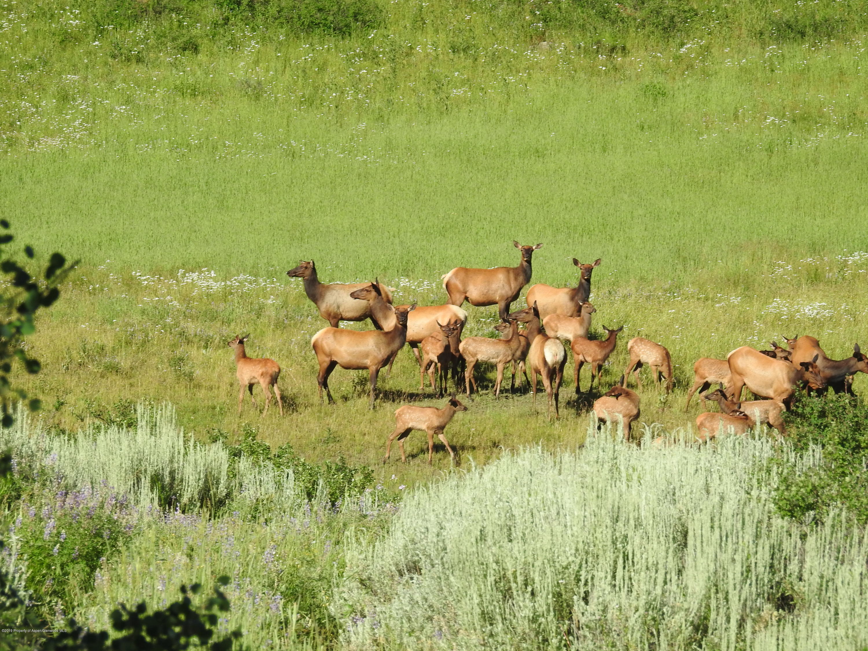 1000 Black Bear Road Glenwood Springs CO 81601