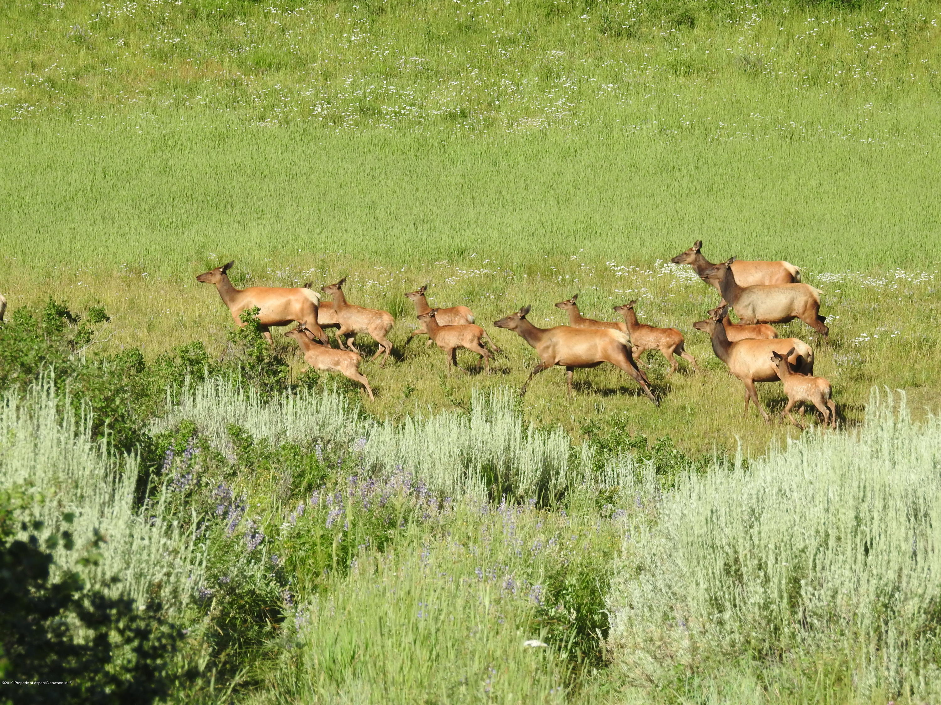 1000 Black Bear Road Glenwood Springs CO 81601