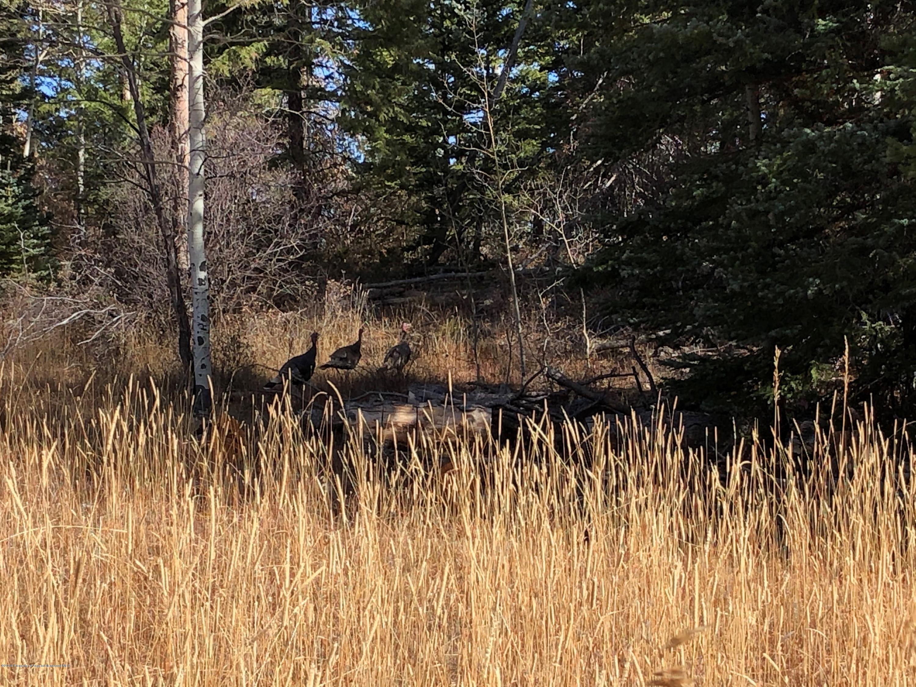 1000 Black Bear Road Glenwood Springs CO 81601