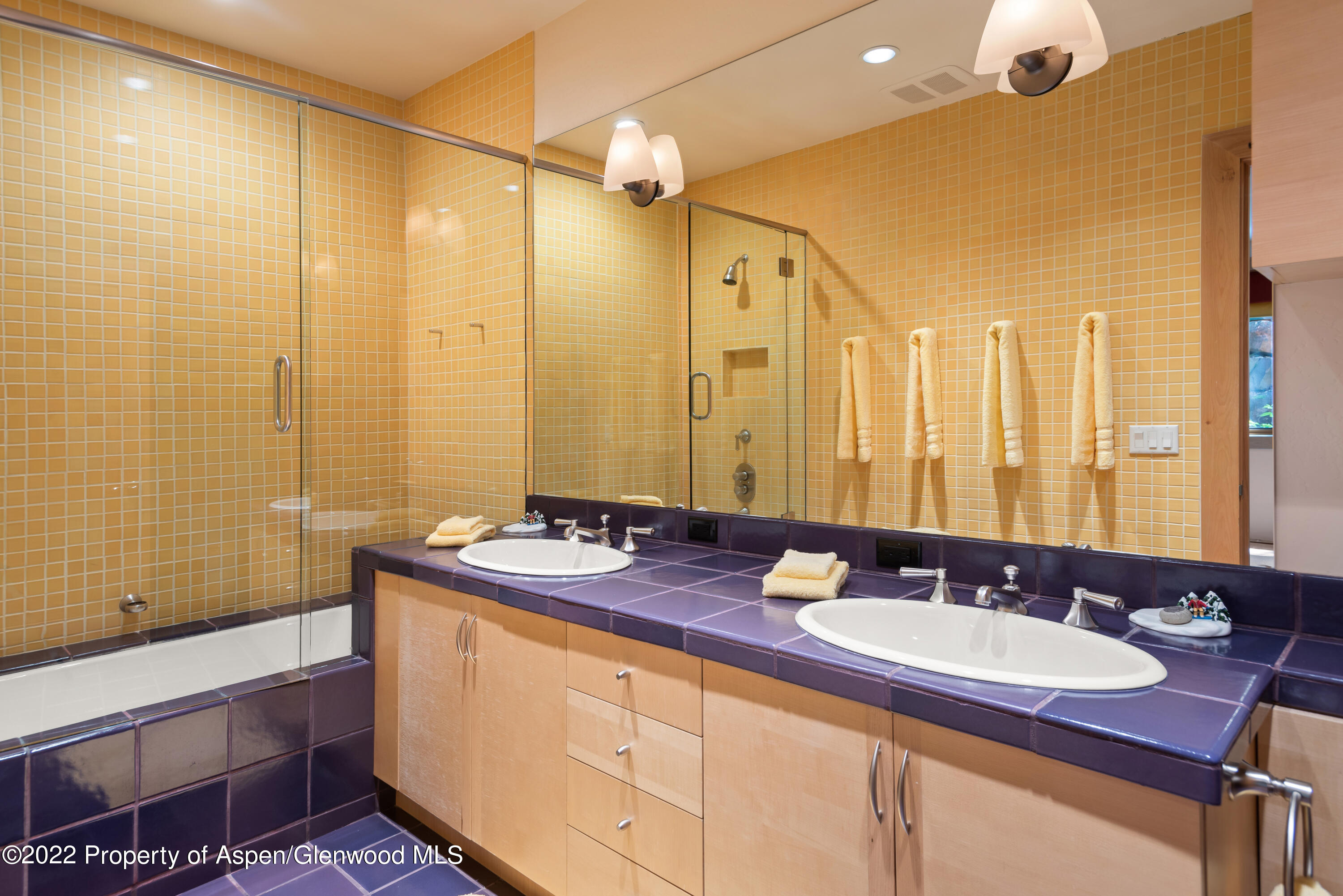 221 E Fork Lane Snowmass Village CO 81615