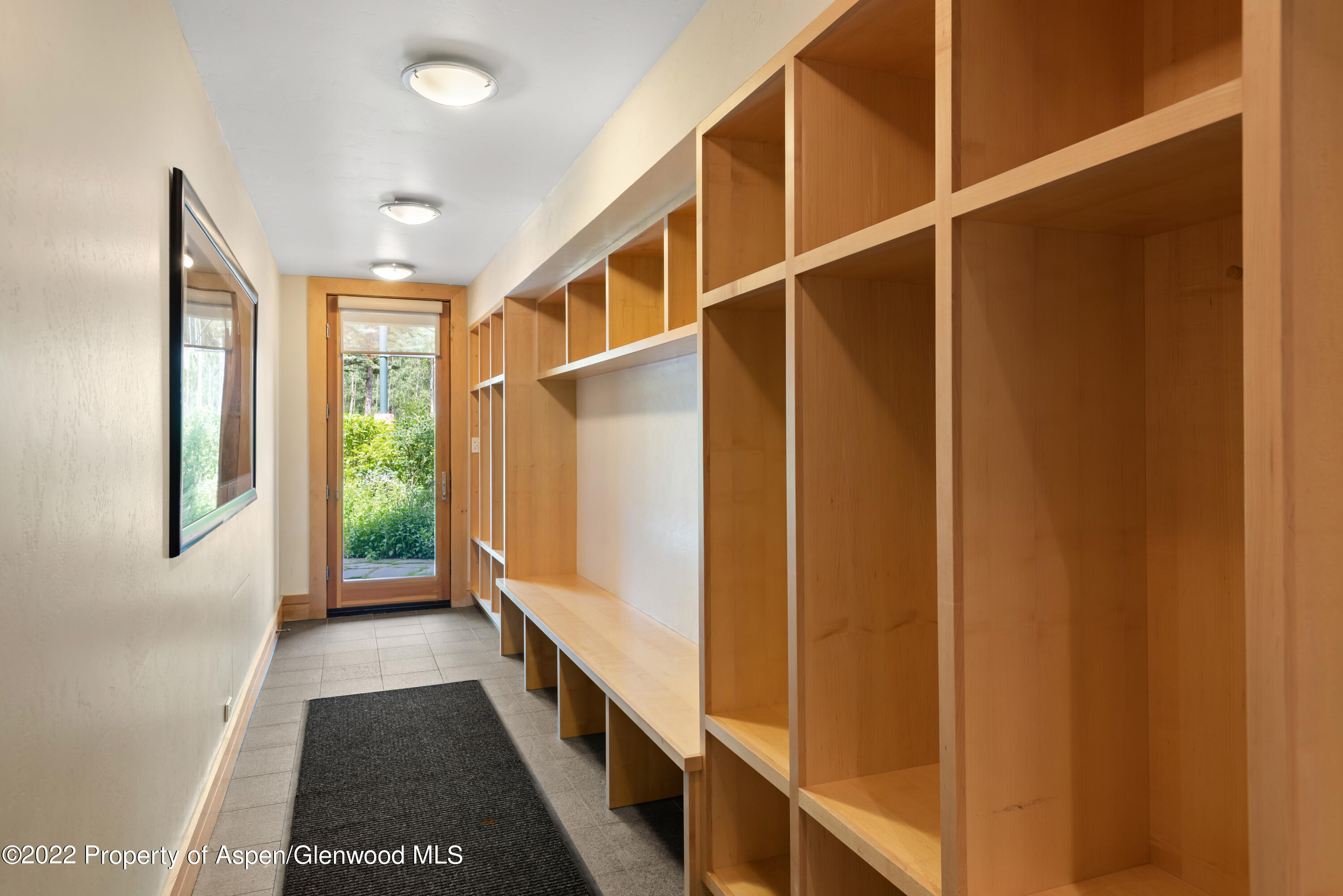 221 E Fork Lane Snowmass Village CO 81615