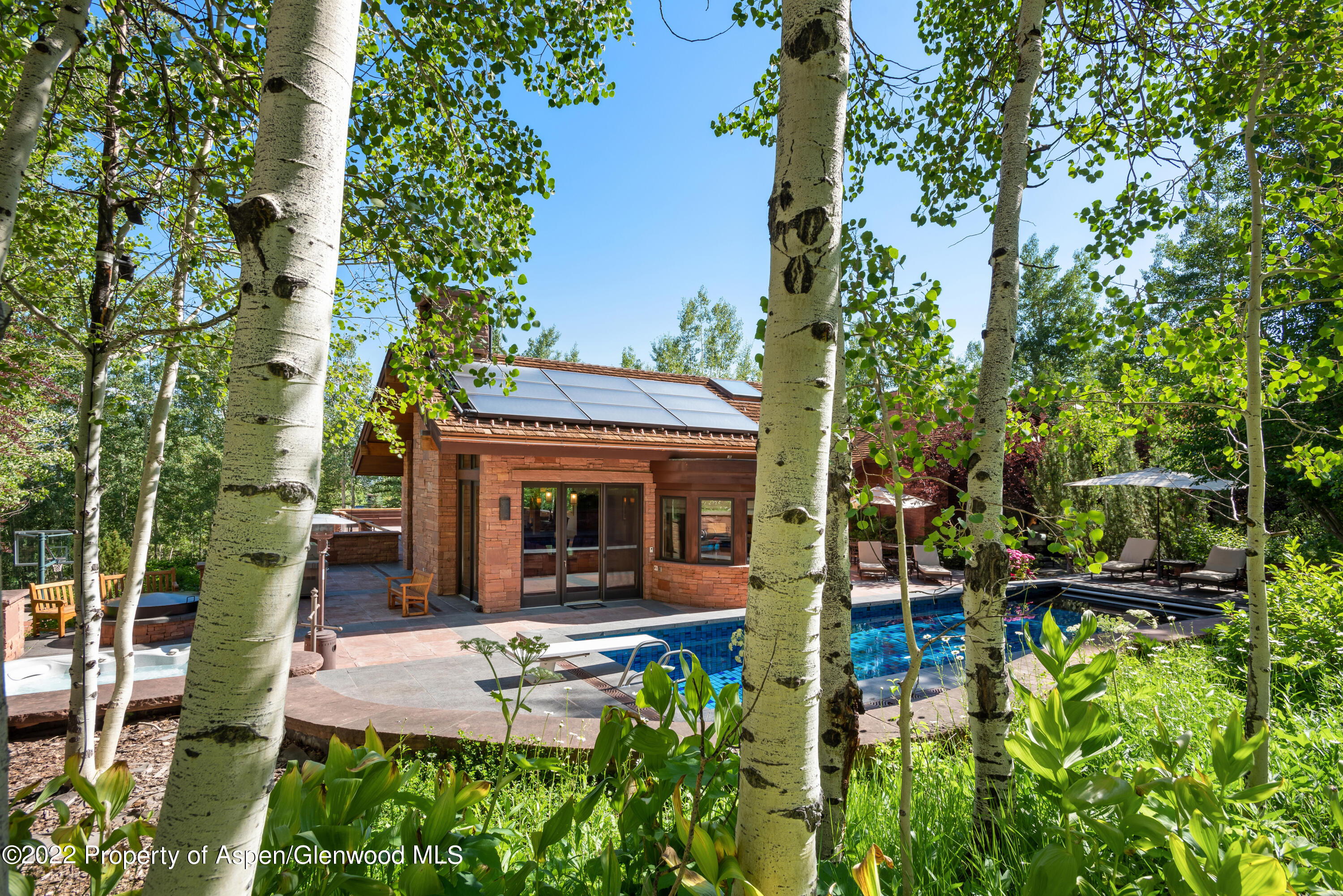 221 E Fork Lane Snowmass Village CO 81615