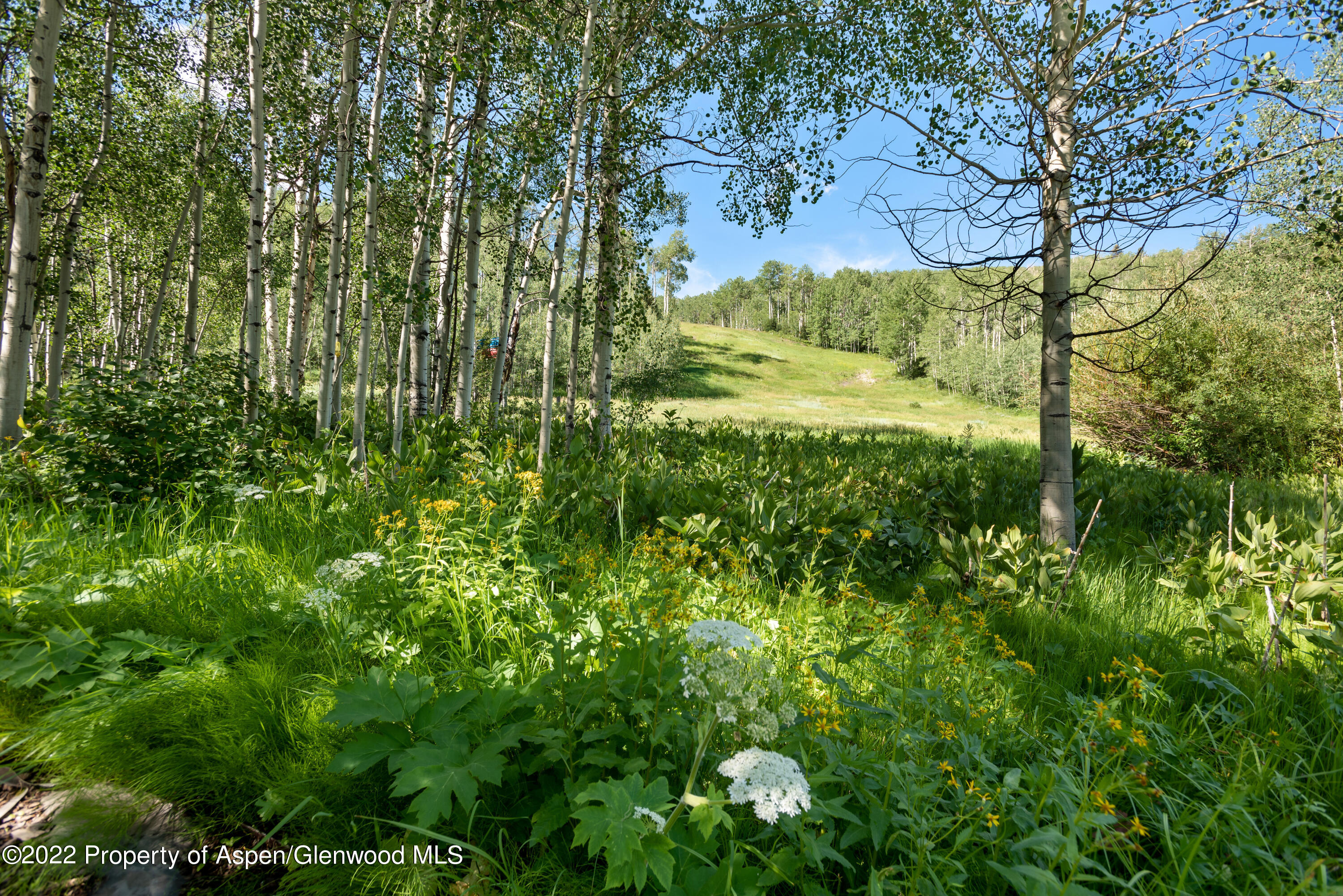 221 E Fork Lane Snowmass Village CO 81615