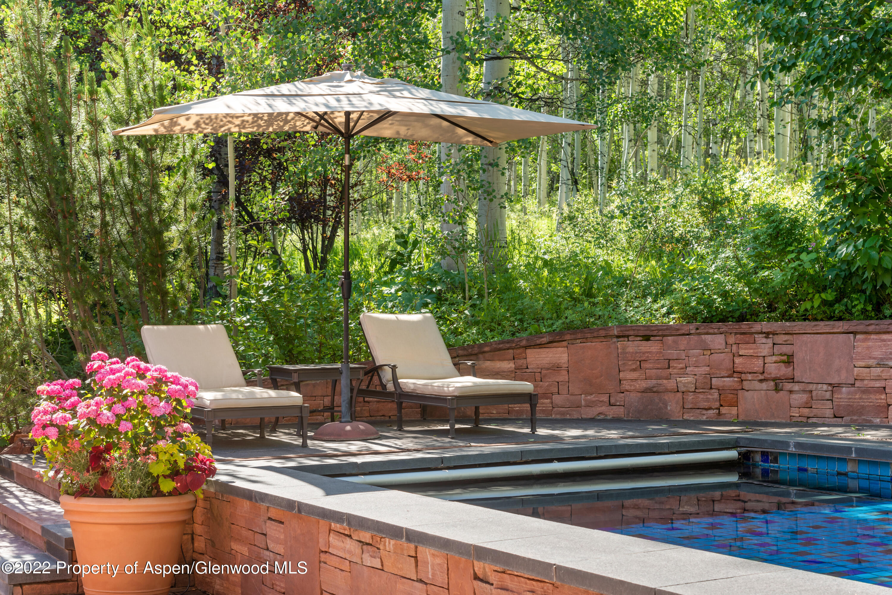 221 E Fork Lane Snowmass Village CO 81615