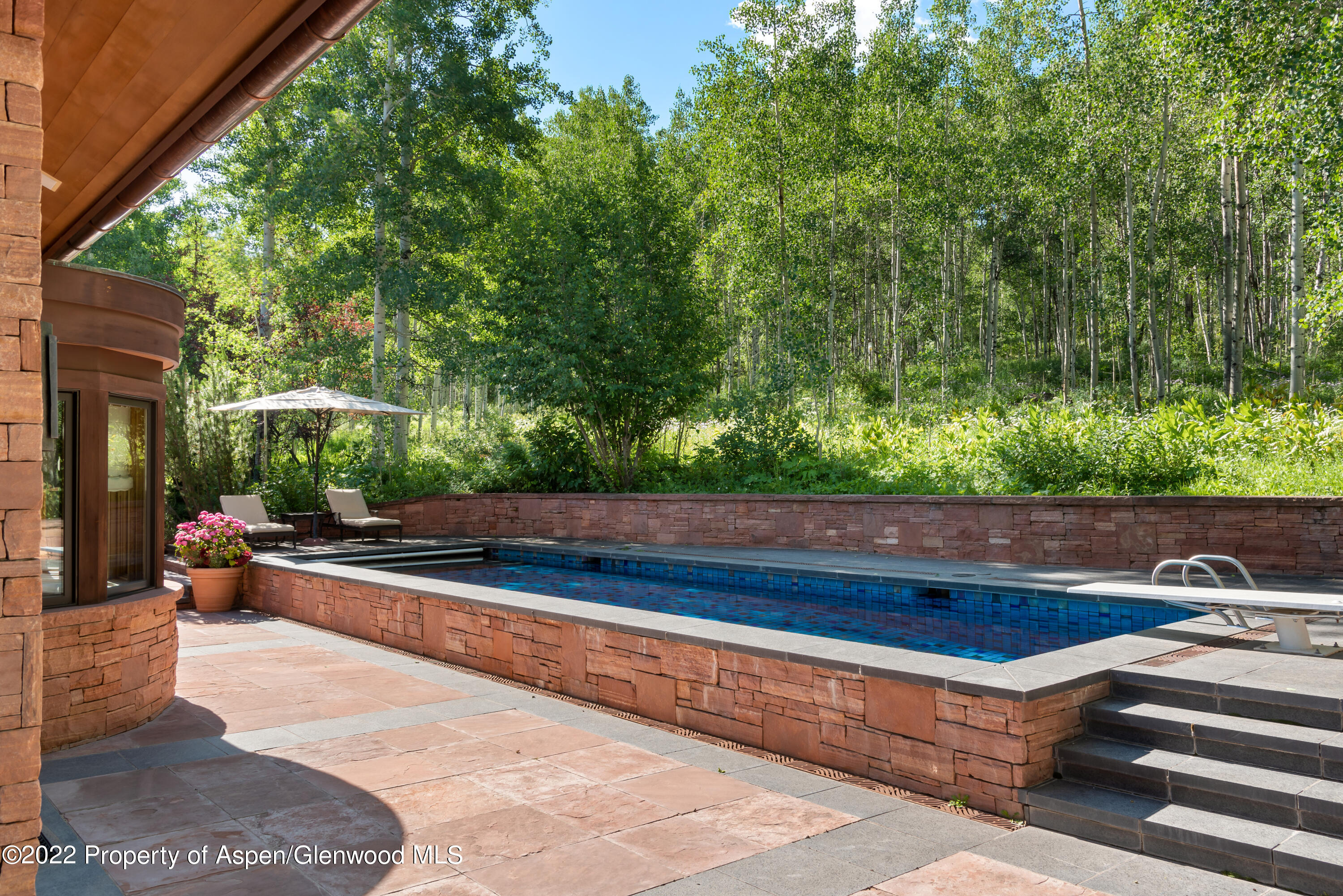 221 E Fork Lane Snowmass Village CO 81615