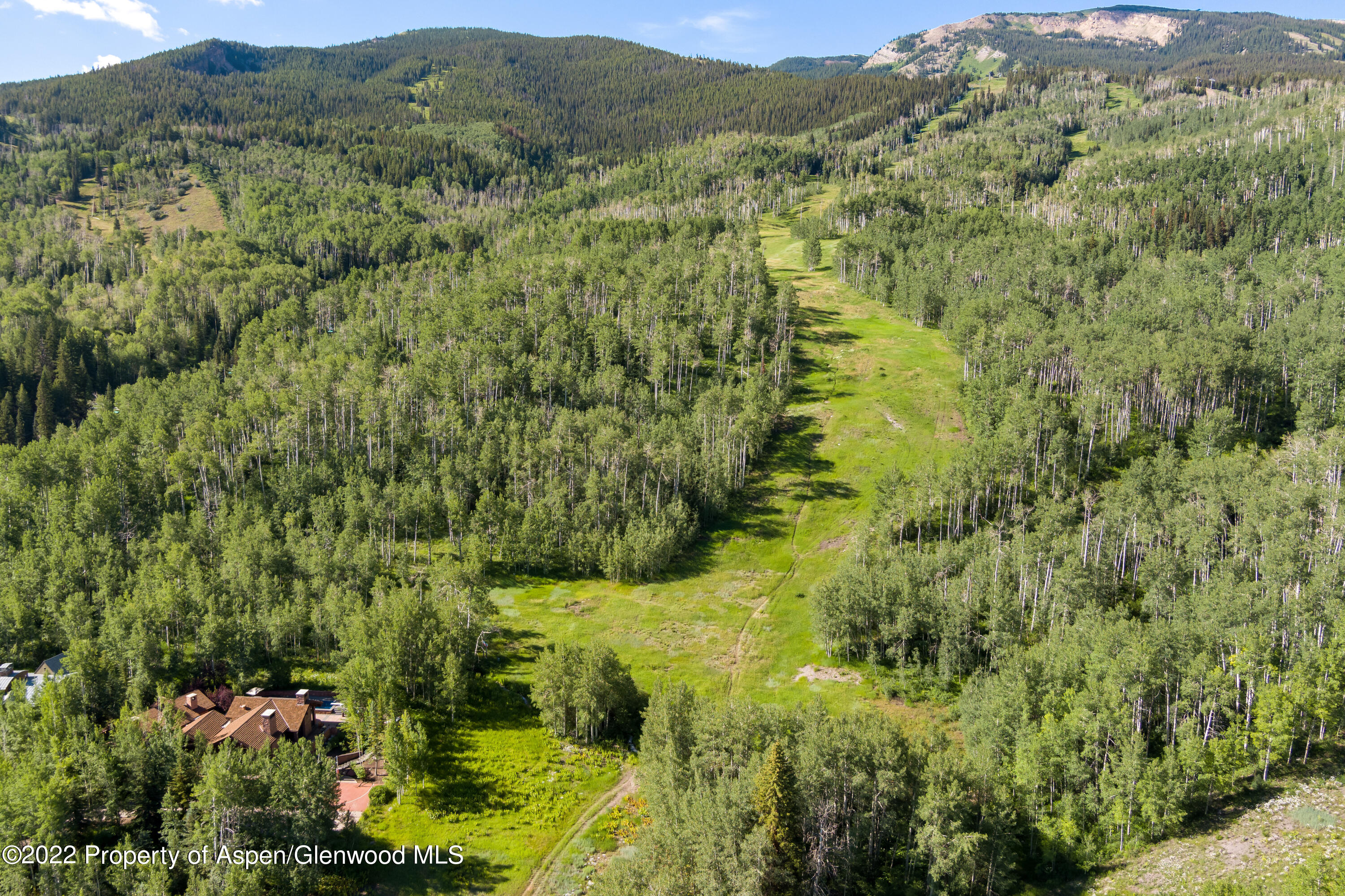 221 E Fork Lane Snowmass Village CO 81615