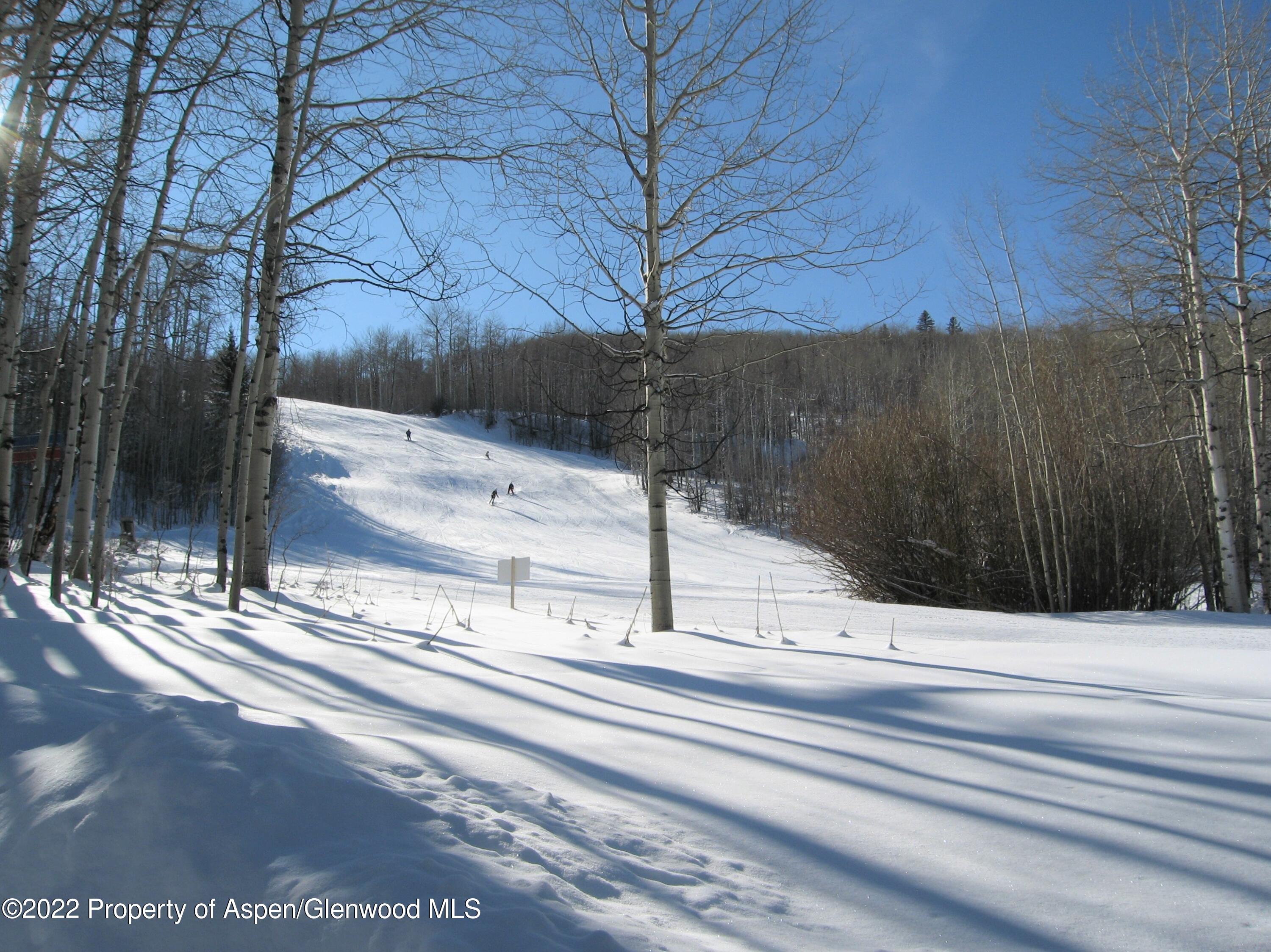 221 E Fork Lane Snowmass Village CO 81615