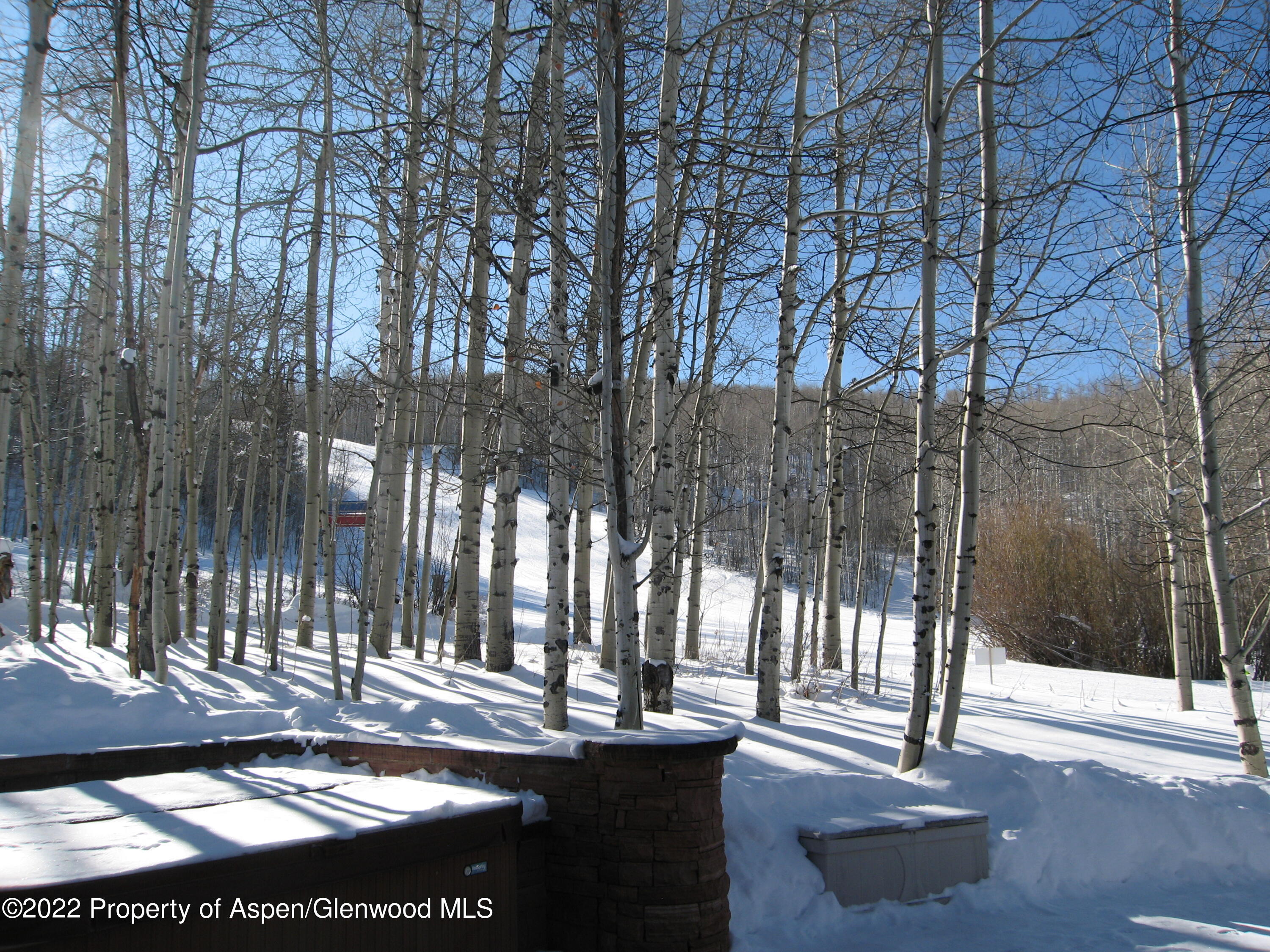 221 E Fork Lane Snowmass Village CO 81615