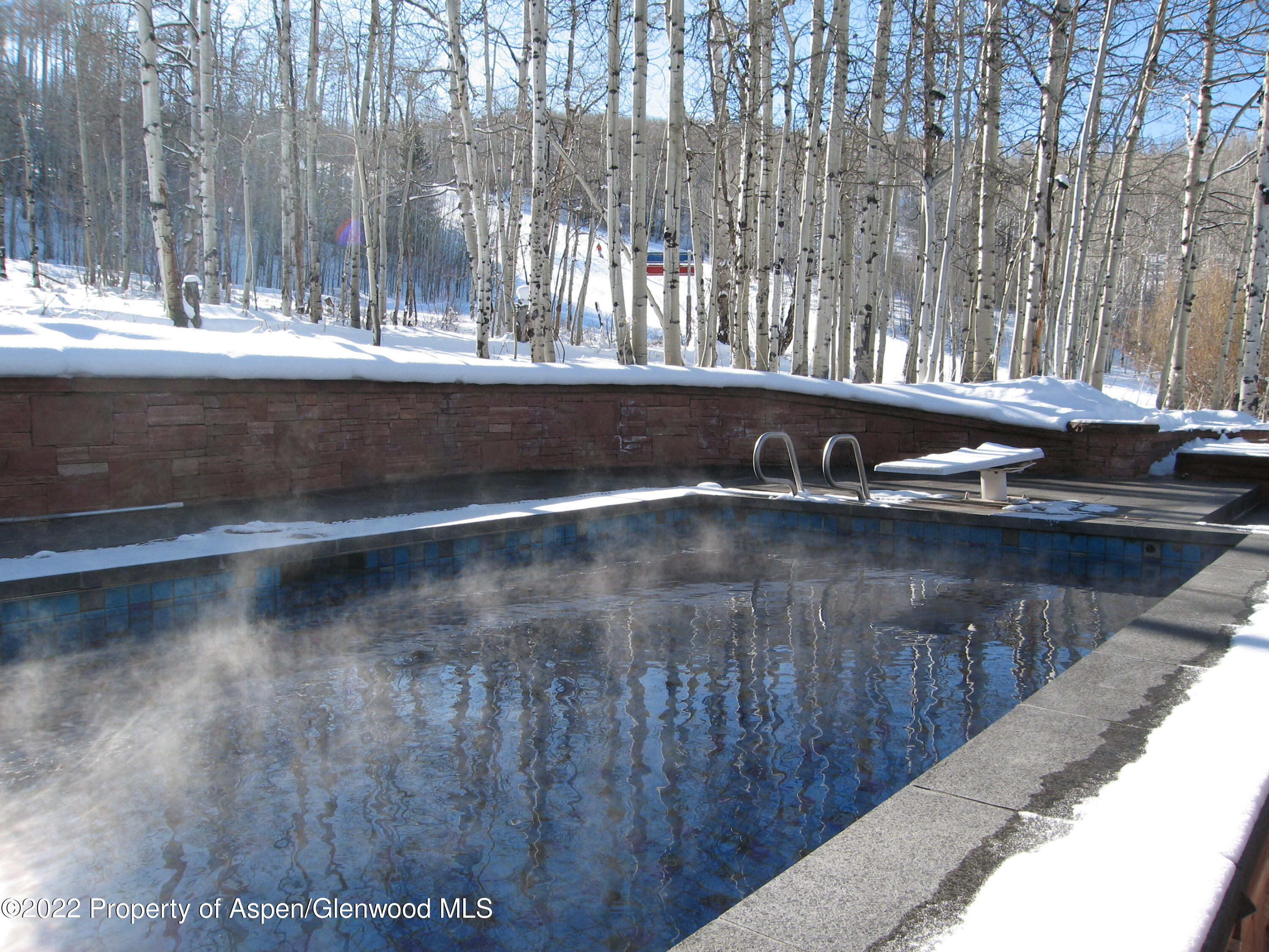 221 E Fork Lane Snowmass Village CO 81615