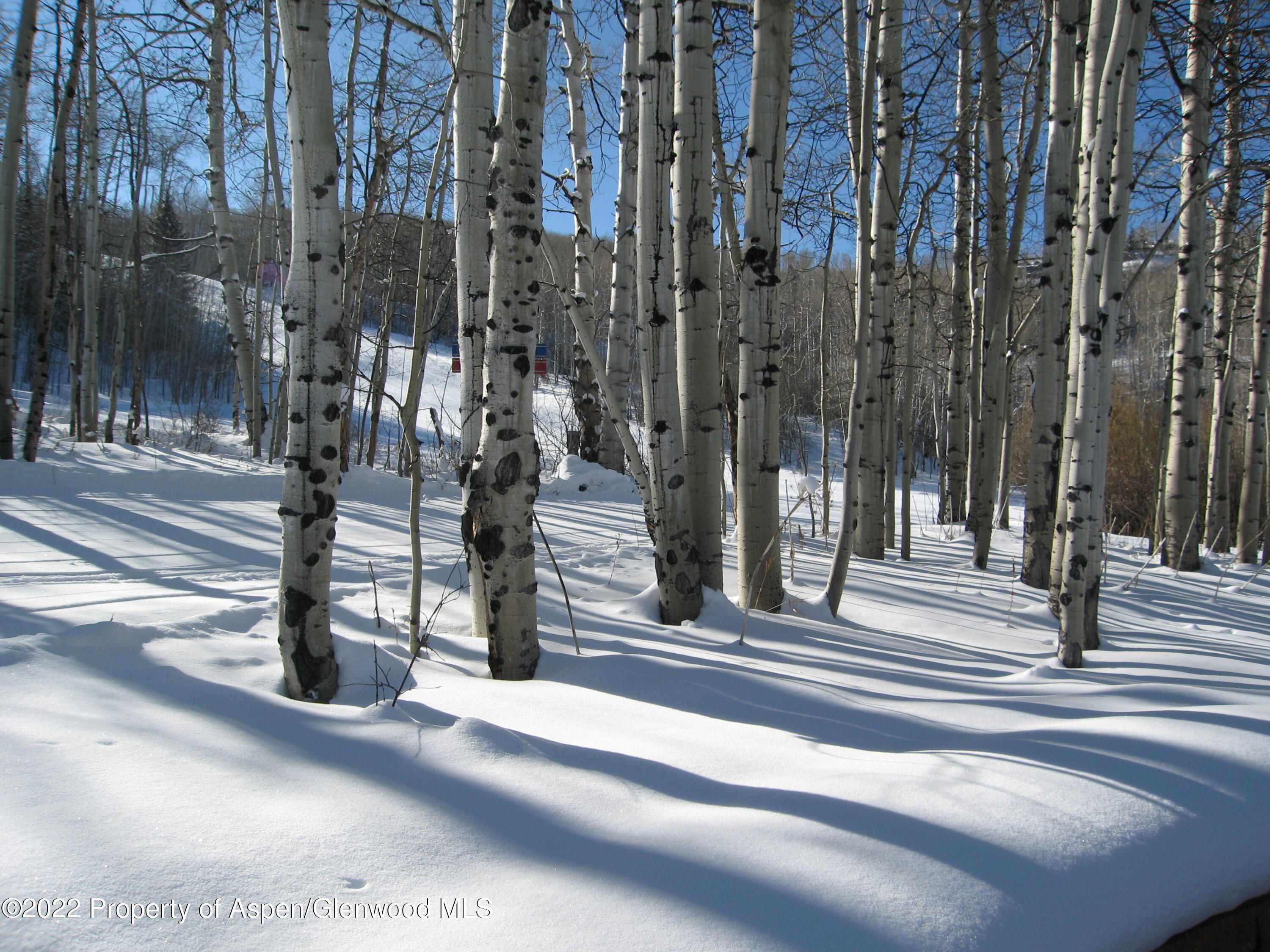 221 E Fork Lane Snowmass Village CO 81615