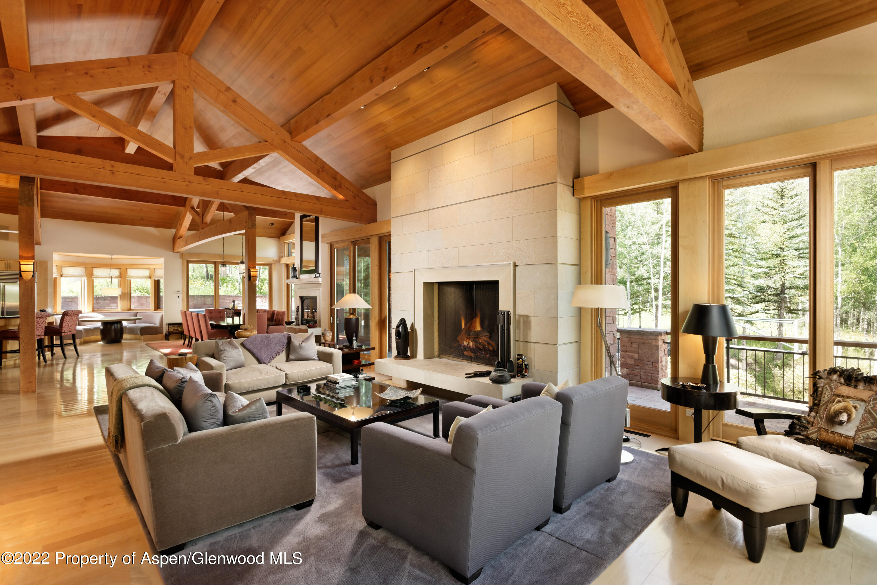 221 E Fork Lane Snowmass Village CO 81615