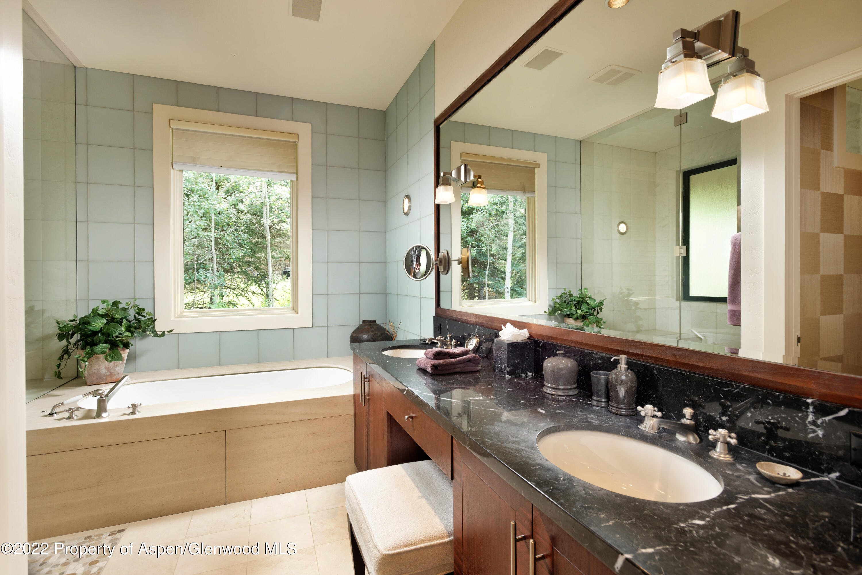 221 E Fork Lane Snowmass Village CO 81615