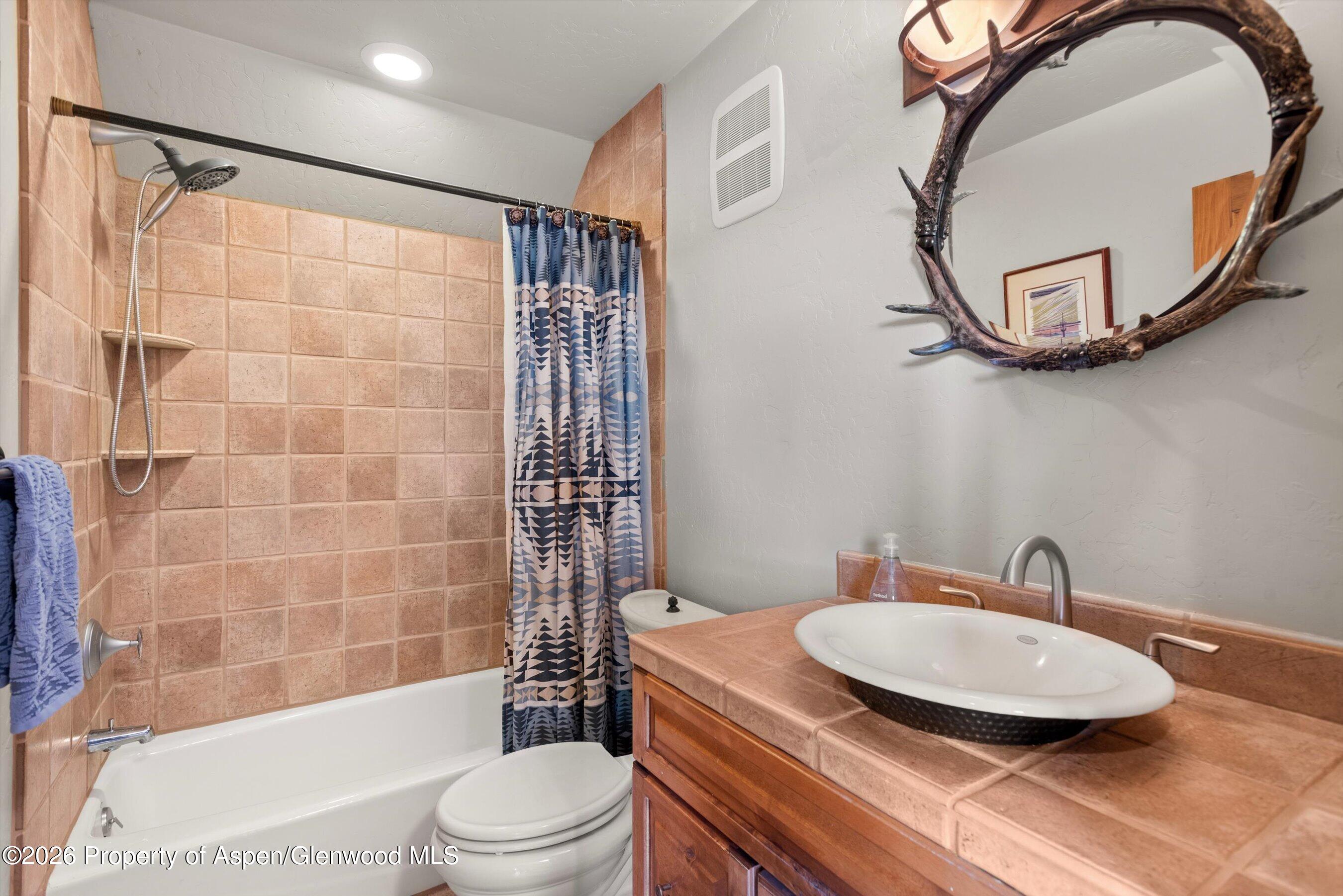 411 Fox Run Drive Carbondale CO 81623