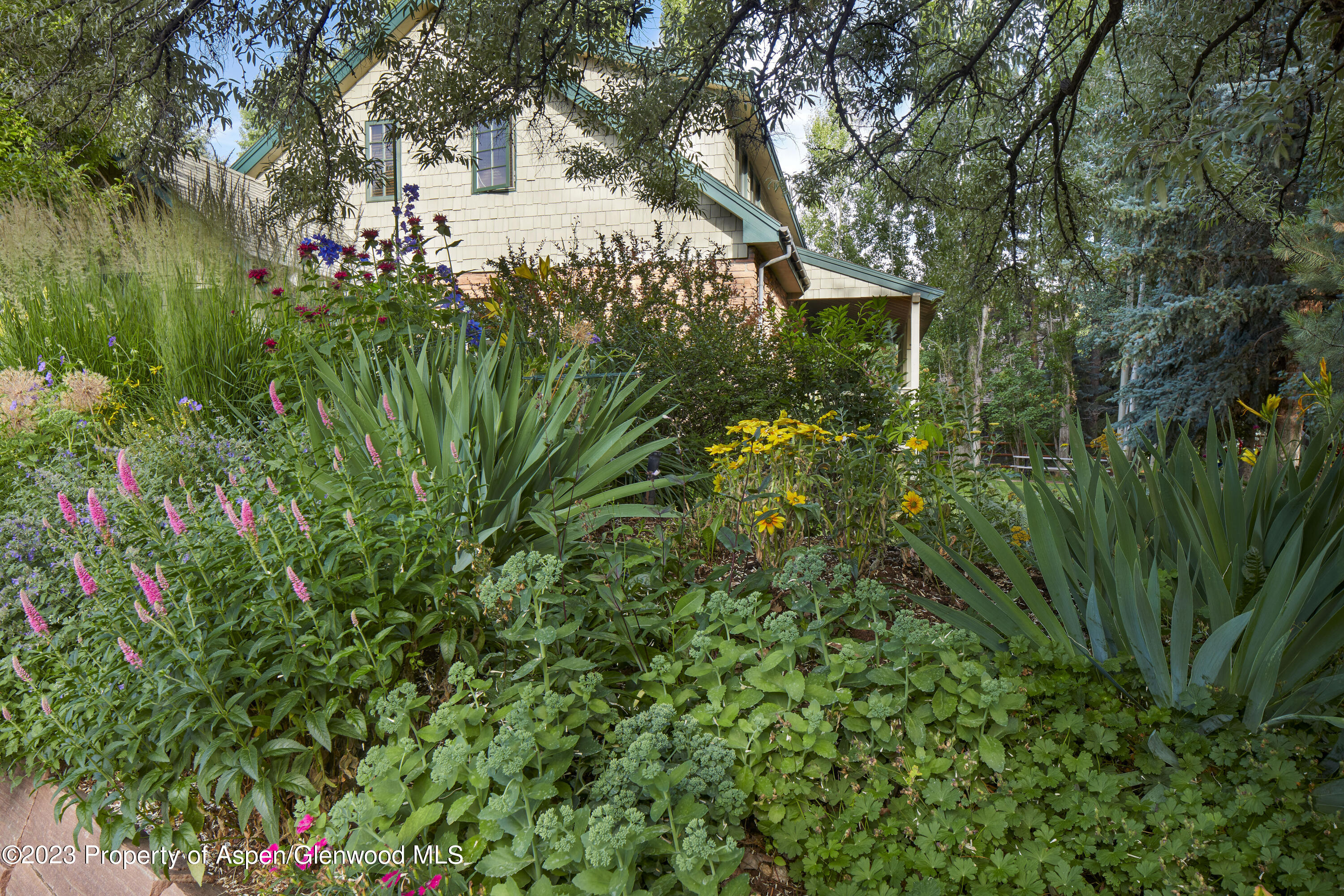135 Riverside Drive Basalt CO 81621