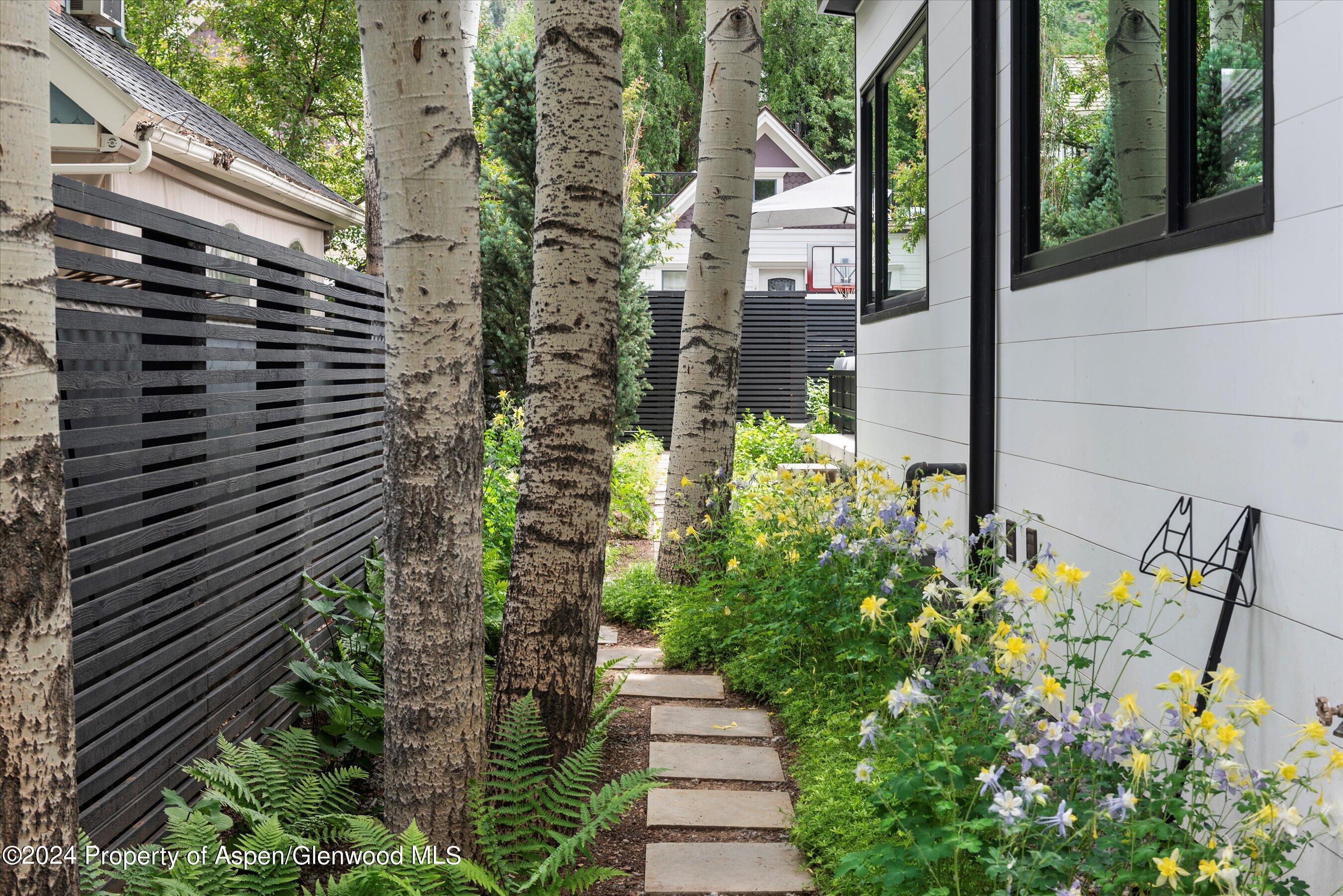 725 W Smuggler Street Aspen CO 81611