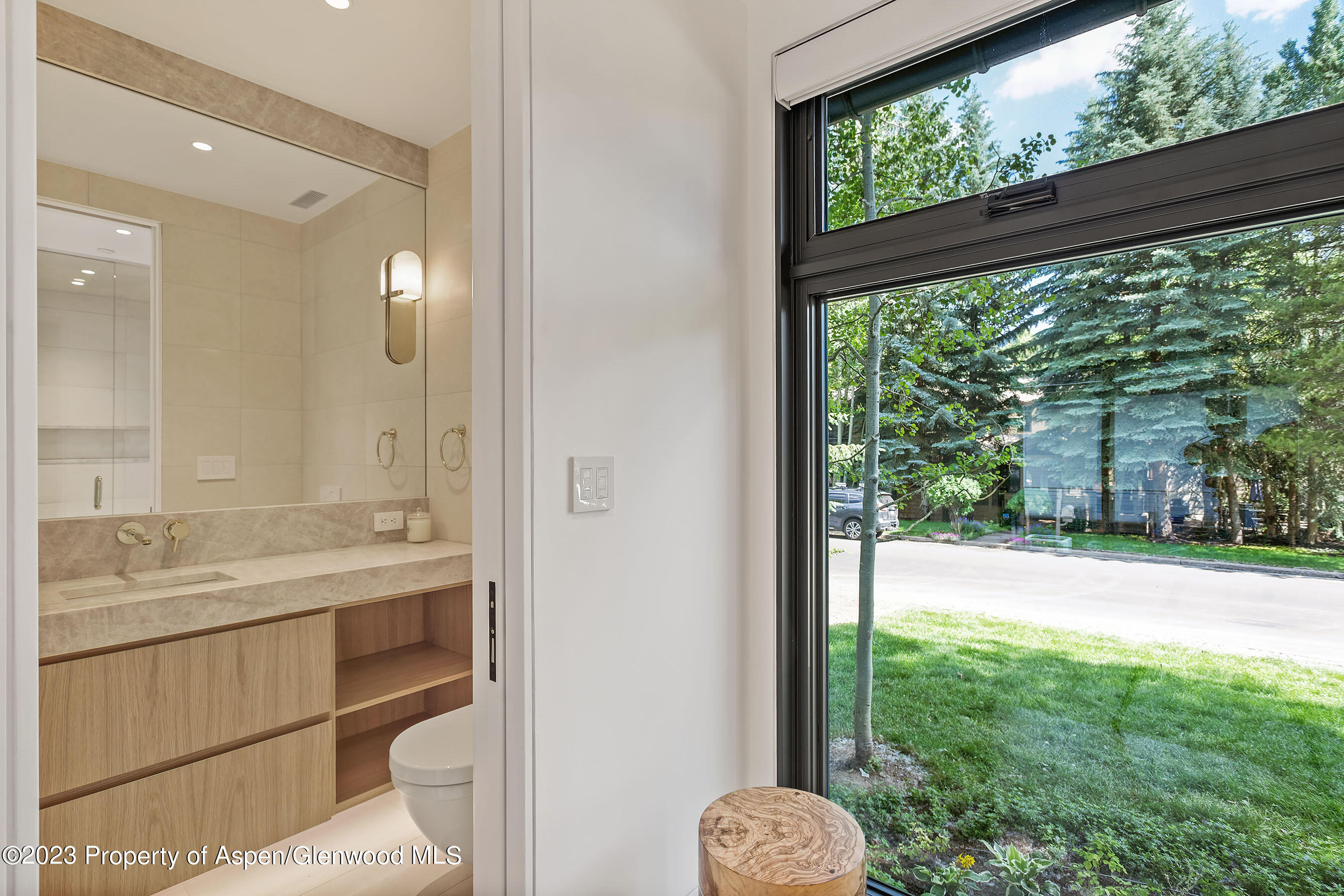 725 W Smuggler Street Aspen CO 81611