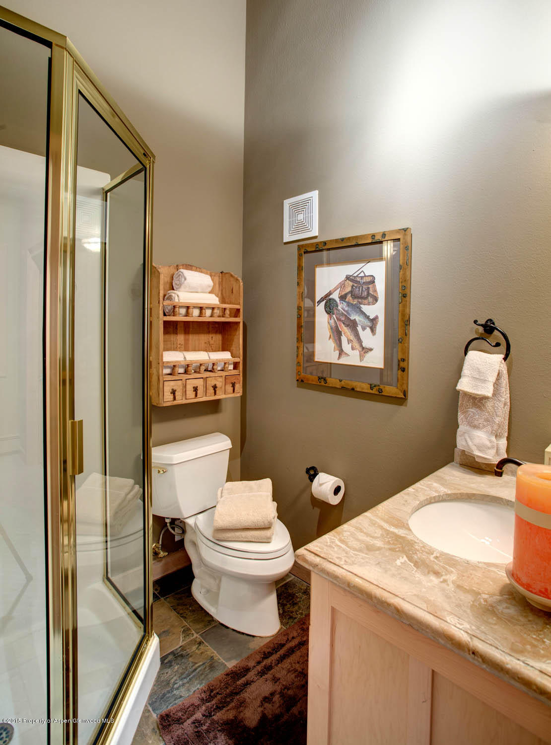 65 Fairway Drive Snowmass Village CO 81615