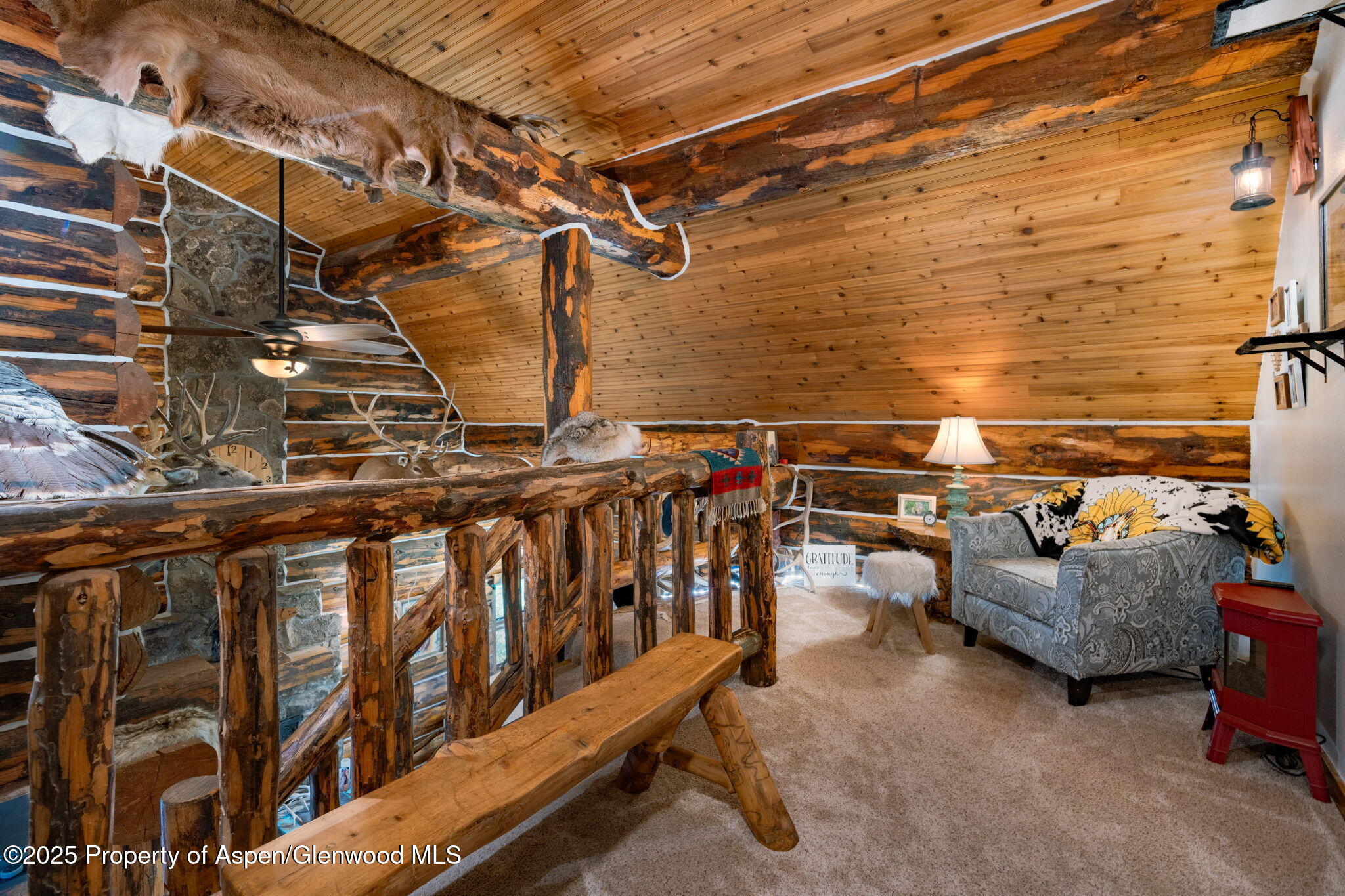 1334 County Road 250 Silt CO 81652