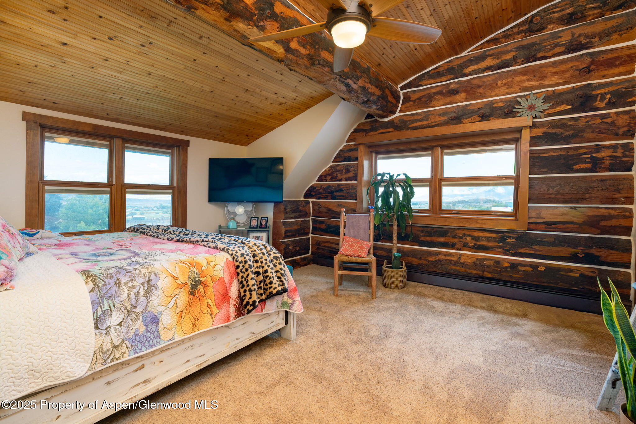 1334 County Road 250 Silt CO 81652