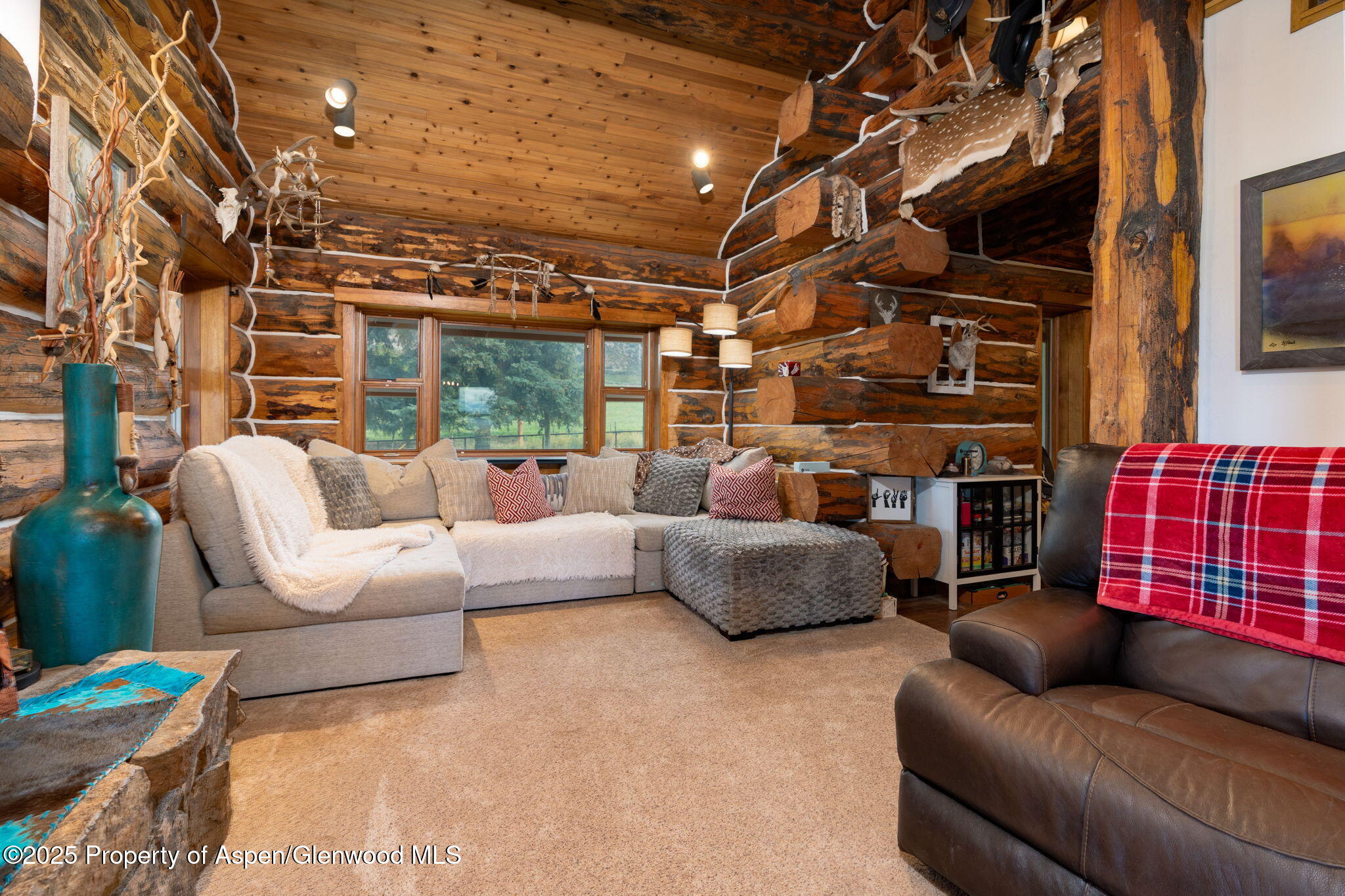 1334 County Road 250 Silt CO 81652