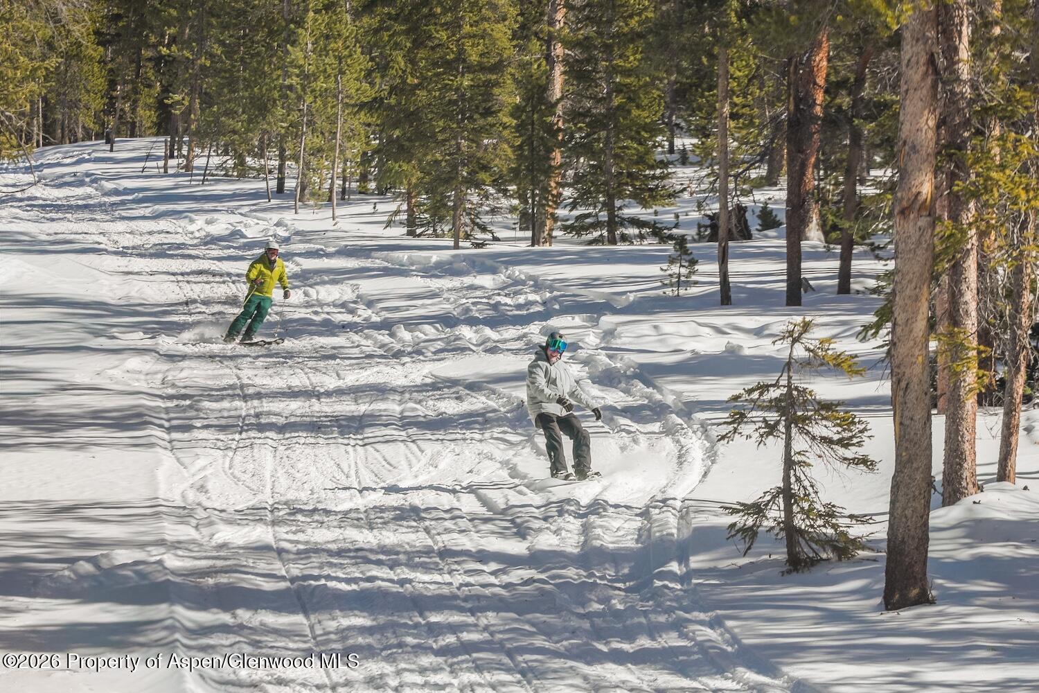 316 N Fuller Placer Road Breckenridge CO 80424