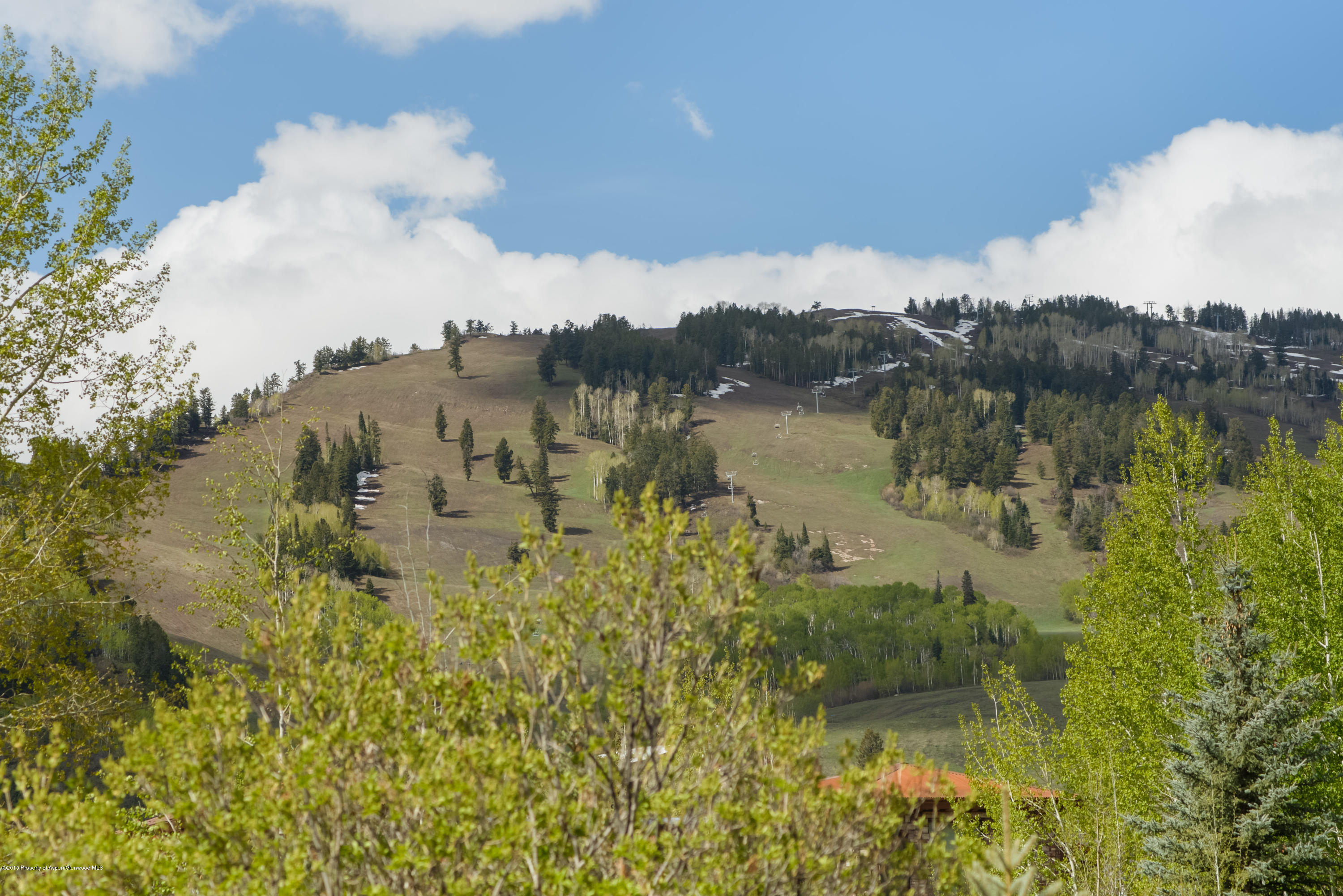 60 Maroon Court Aspen CO 81611